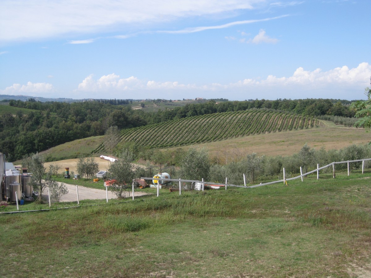 finally getting to taste chianti&nbsp;wines