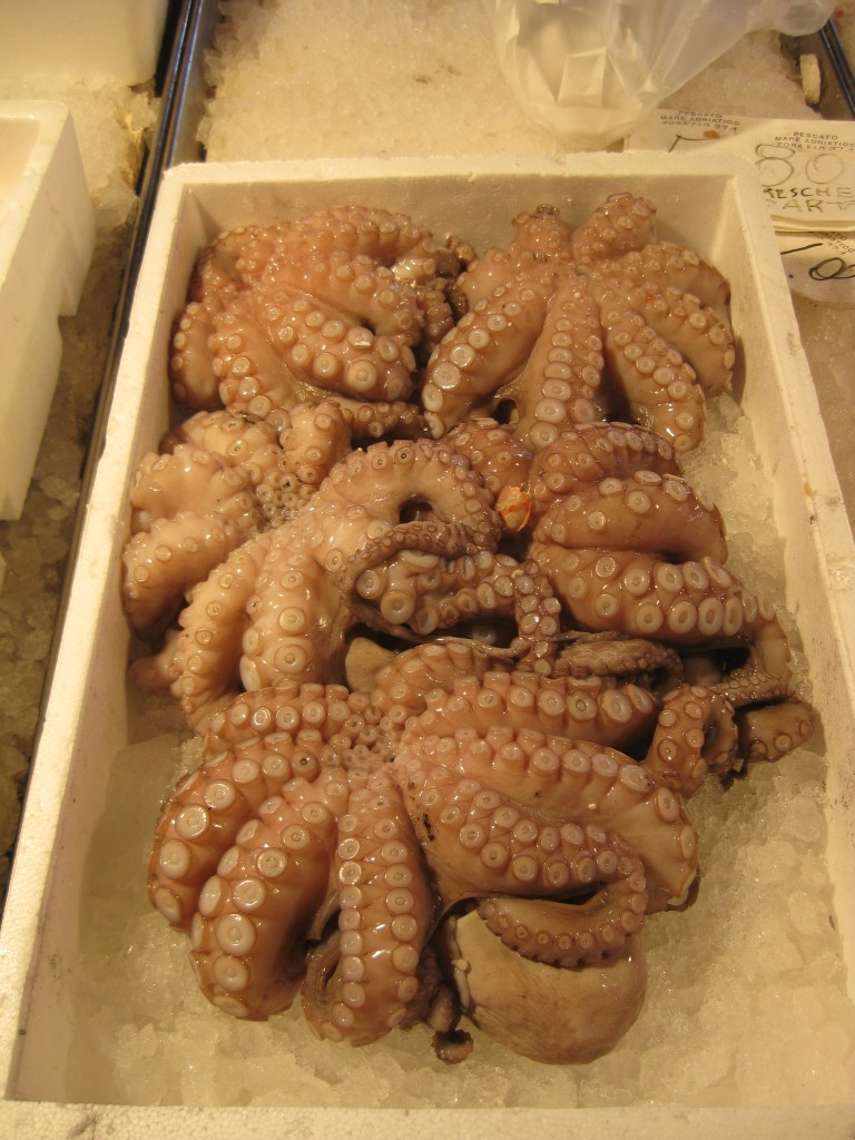 Octopus is one of the many  different types of seafood you'll find at the Rialto Markets
