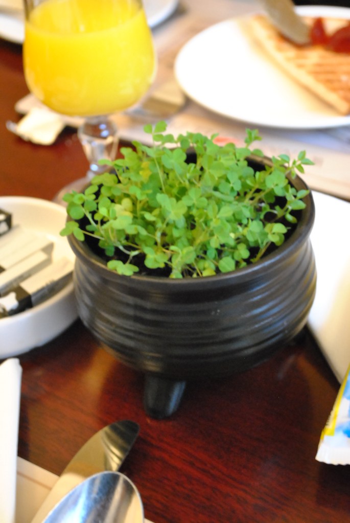 Breakfast at Wynn's (6)