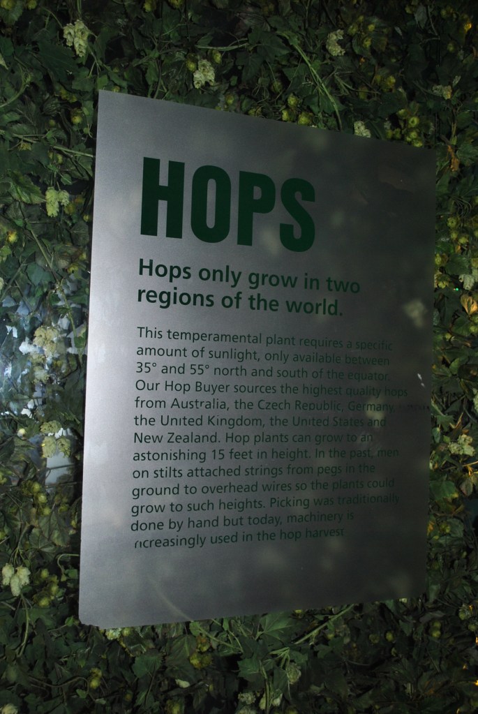 Hops - 2/4 (main) ingredients used to make Guinness
