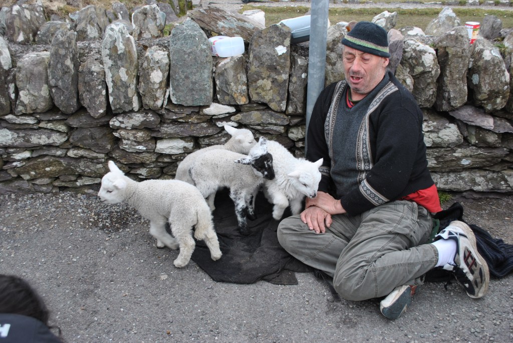 If you tip this guy, you'll get to hold one of the little lambs!