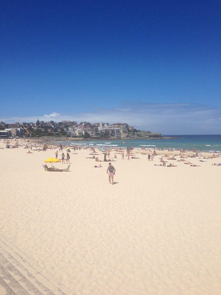 A cloudy morning turned into this!