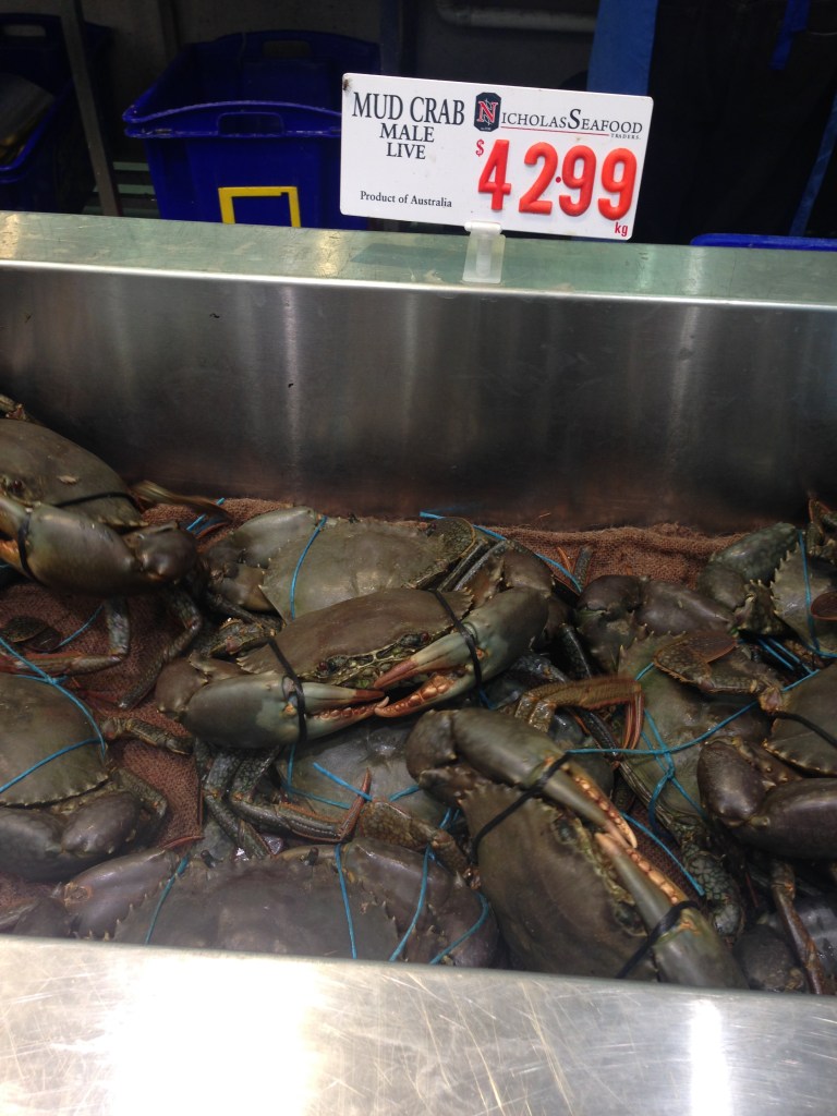 Mud crabs