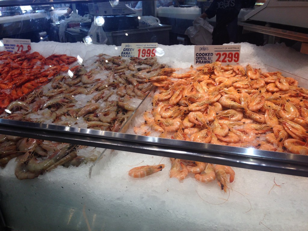 Sydney Fish Market (7)