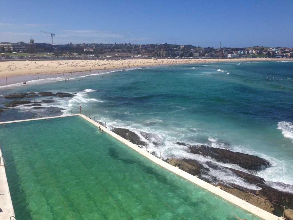 Bondi Icebergs (18)