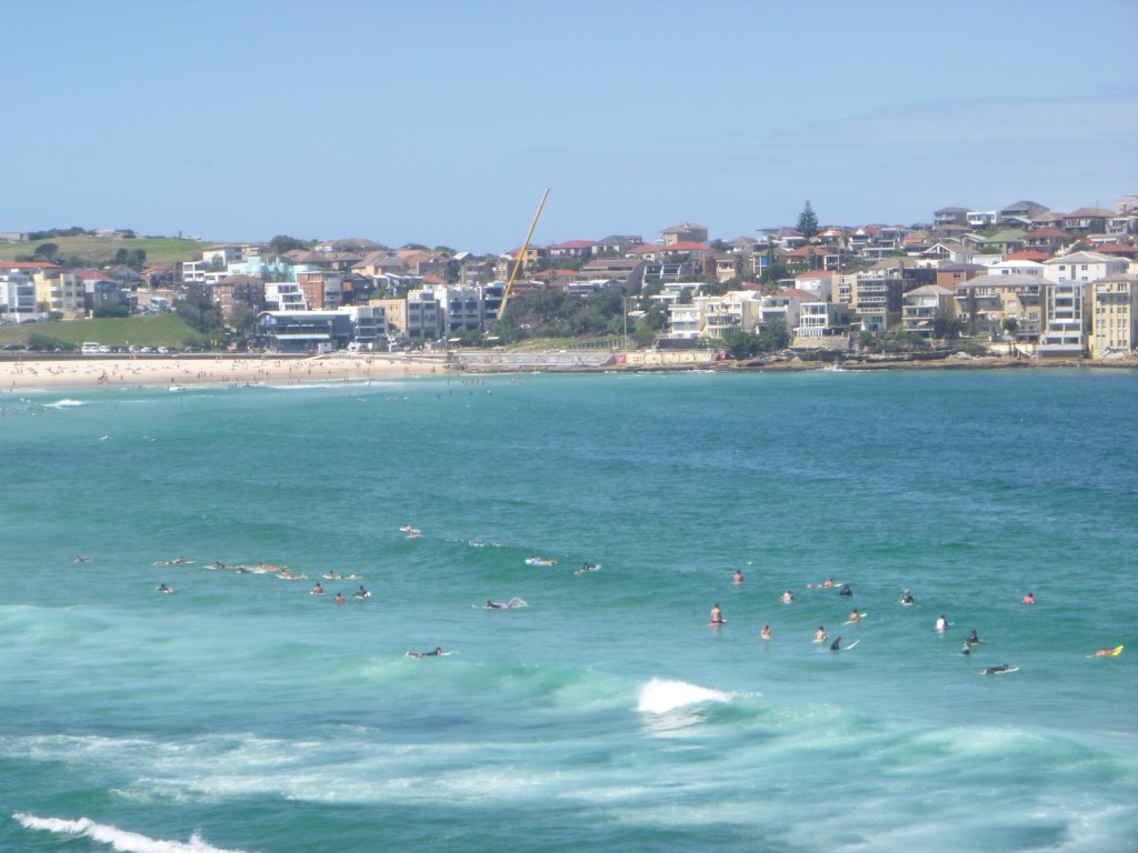 Surfers catching some waves at Bondi