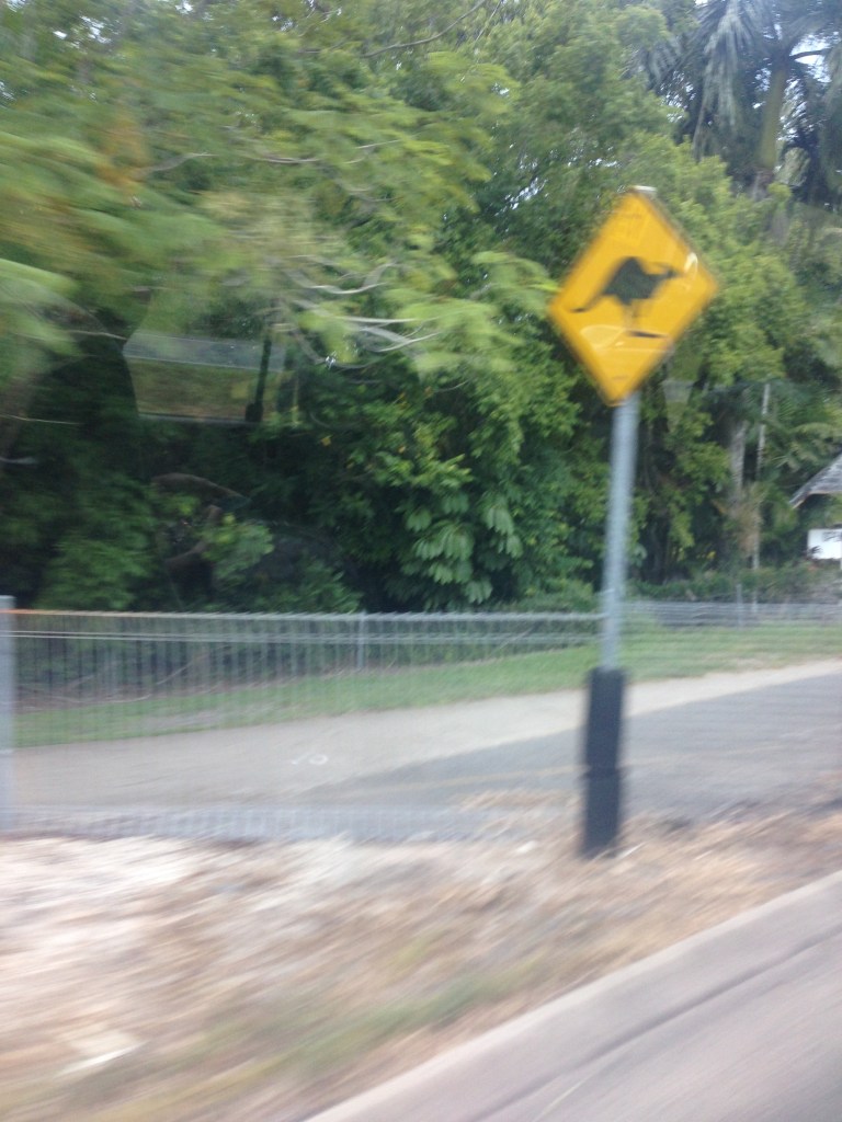 Terrible shot but yes, kangaroo crossing signs do exist!