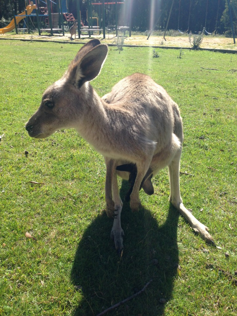Chillin at the playground
