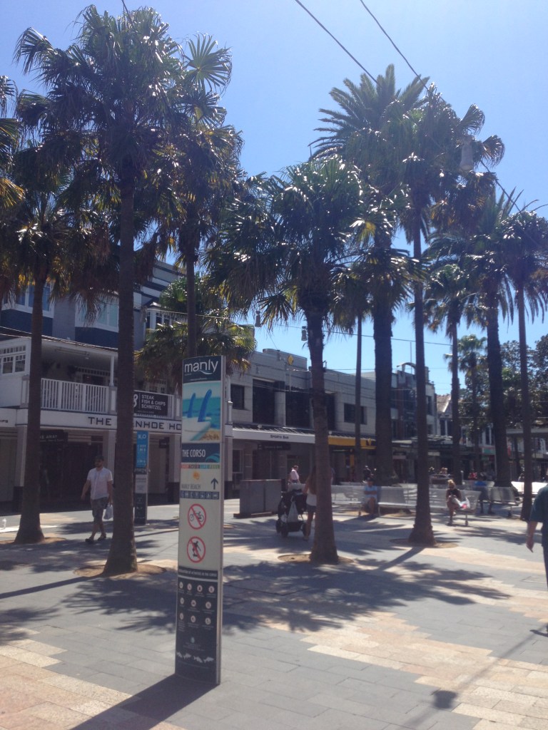 Manly Beach (2)