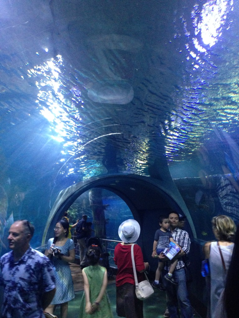 Sea Life Melbourne (39)