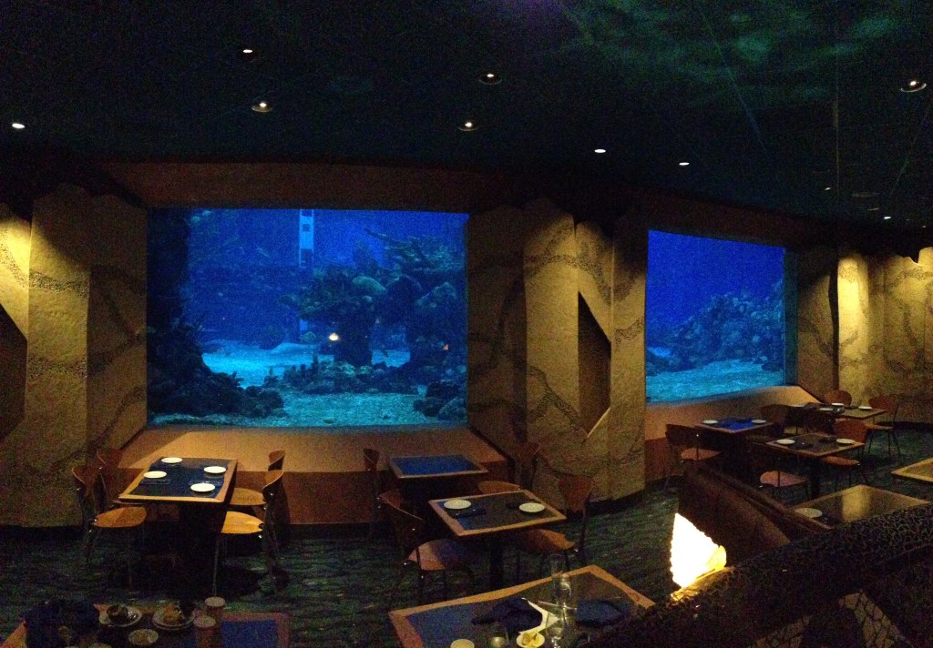Don't forget to have a meal at the Coral Reef!