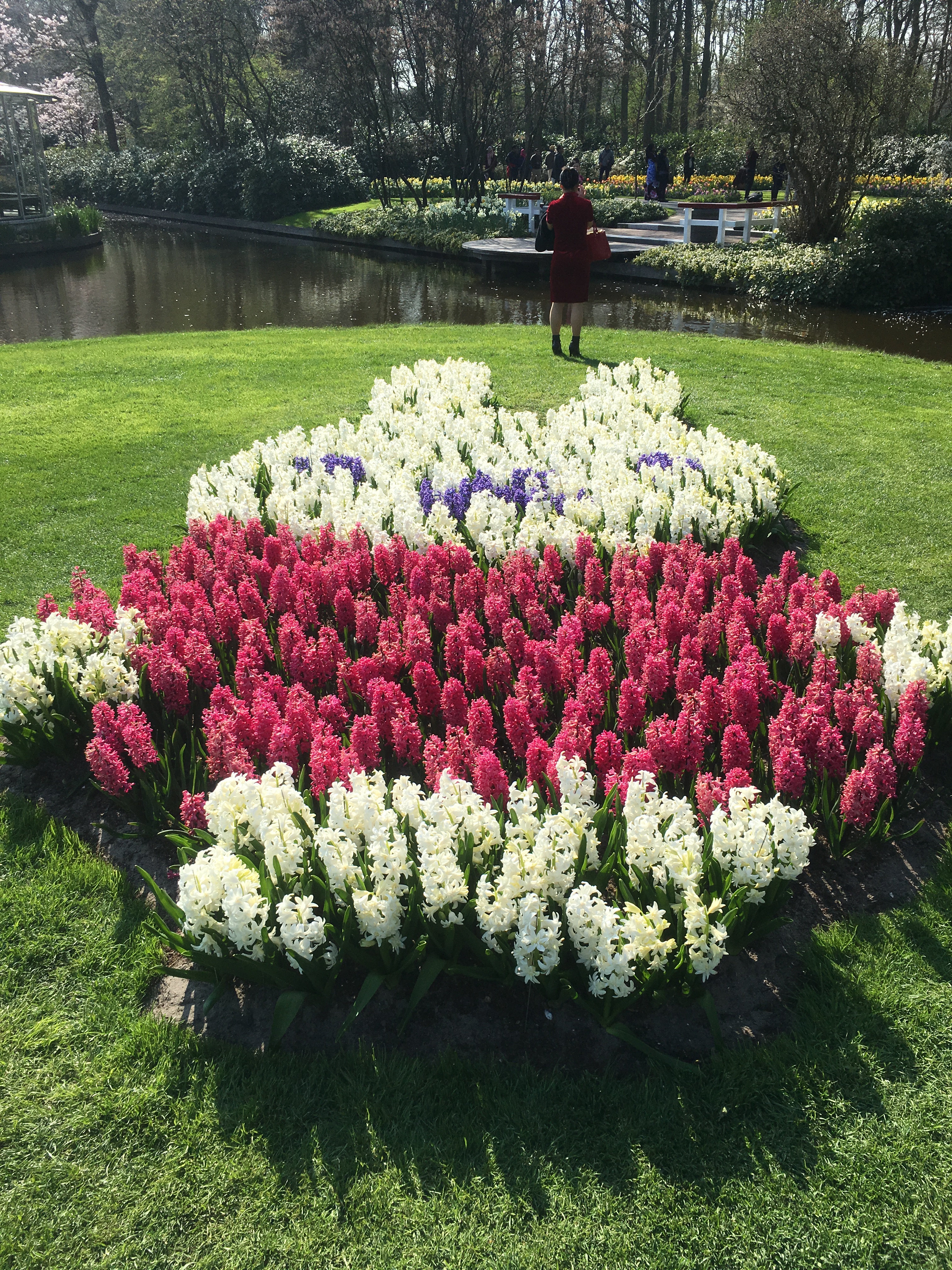 Keukenhof Gardens 311