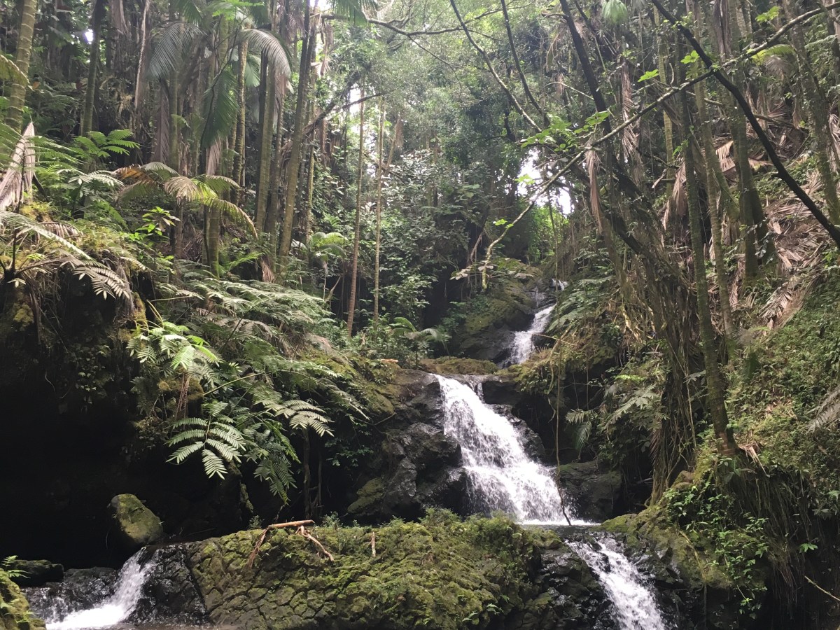 exploring the big&nbsp;island