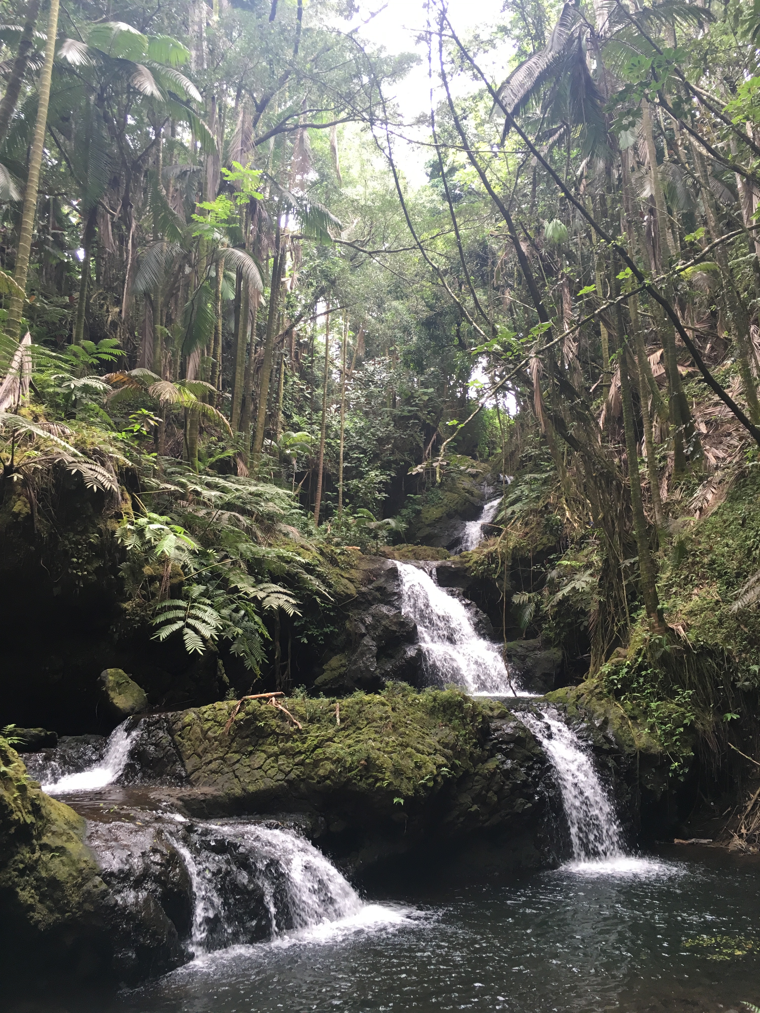 hawaii-tropical-botanical-gardens-15