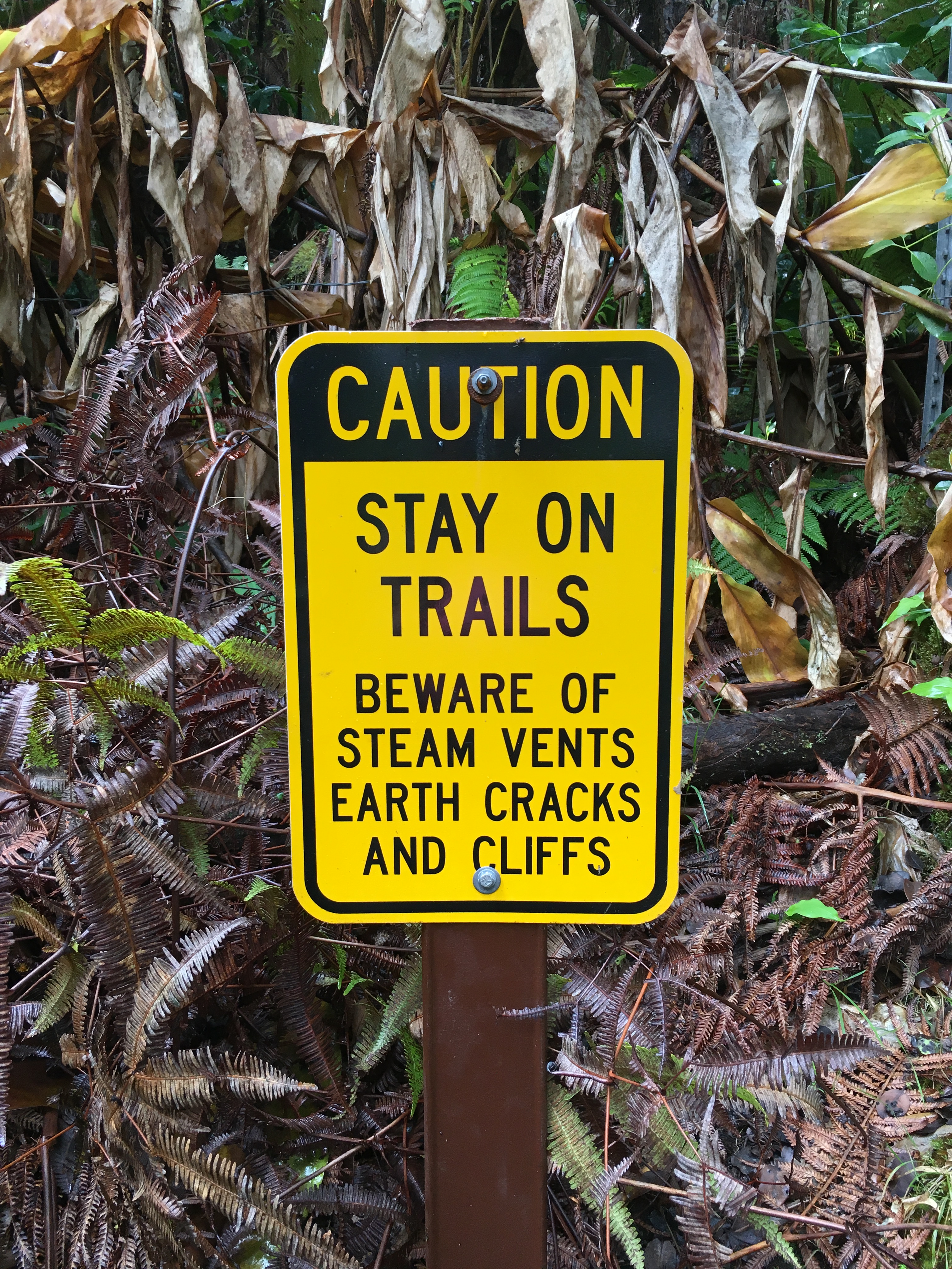 hawaii-volanoes-national-park-60