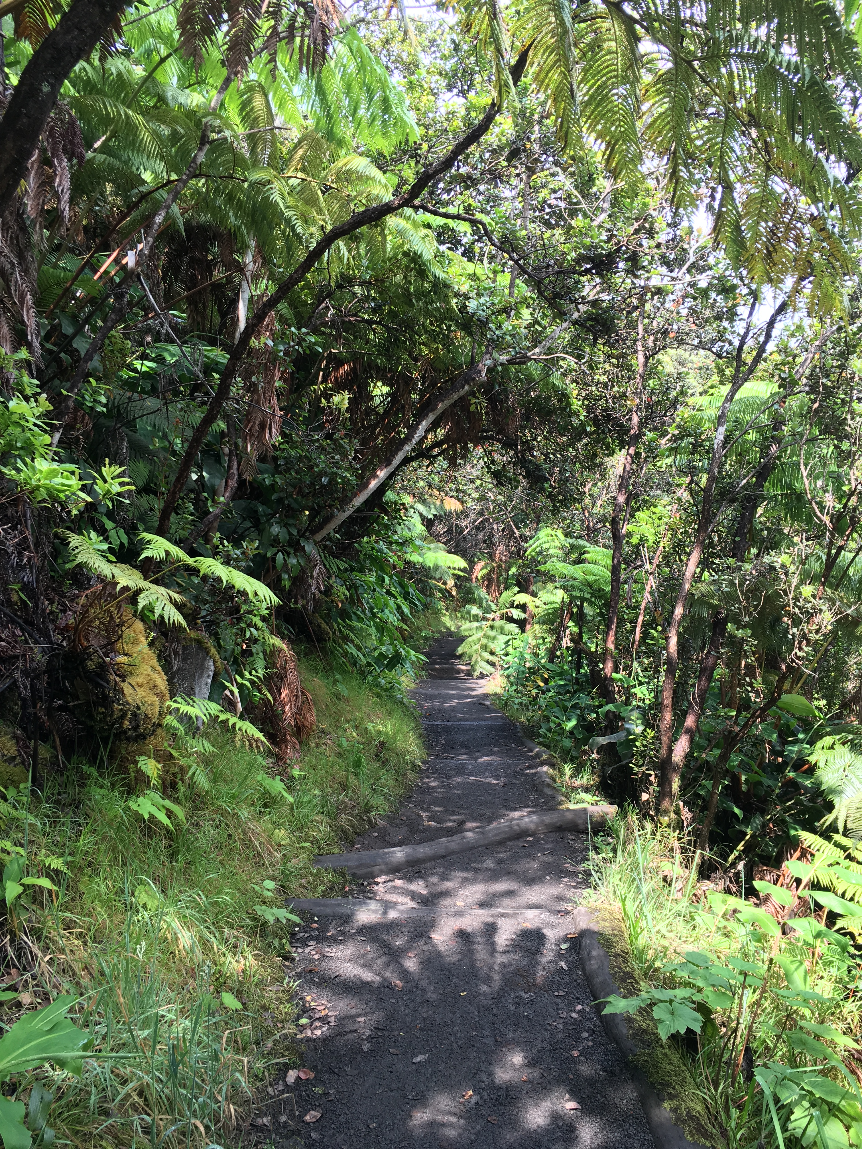 hawaii-volanoes-national-park-62
