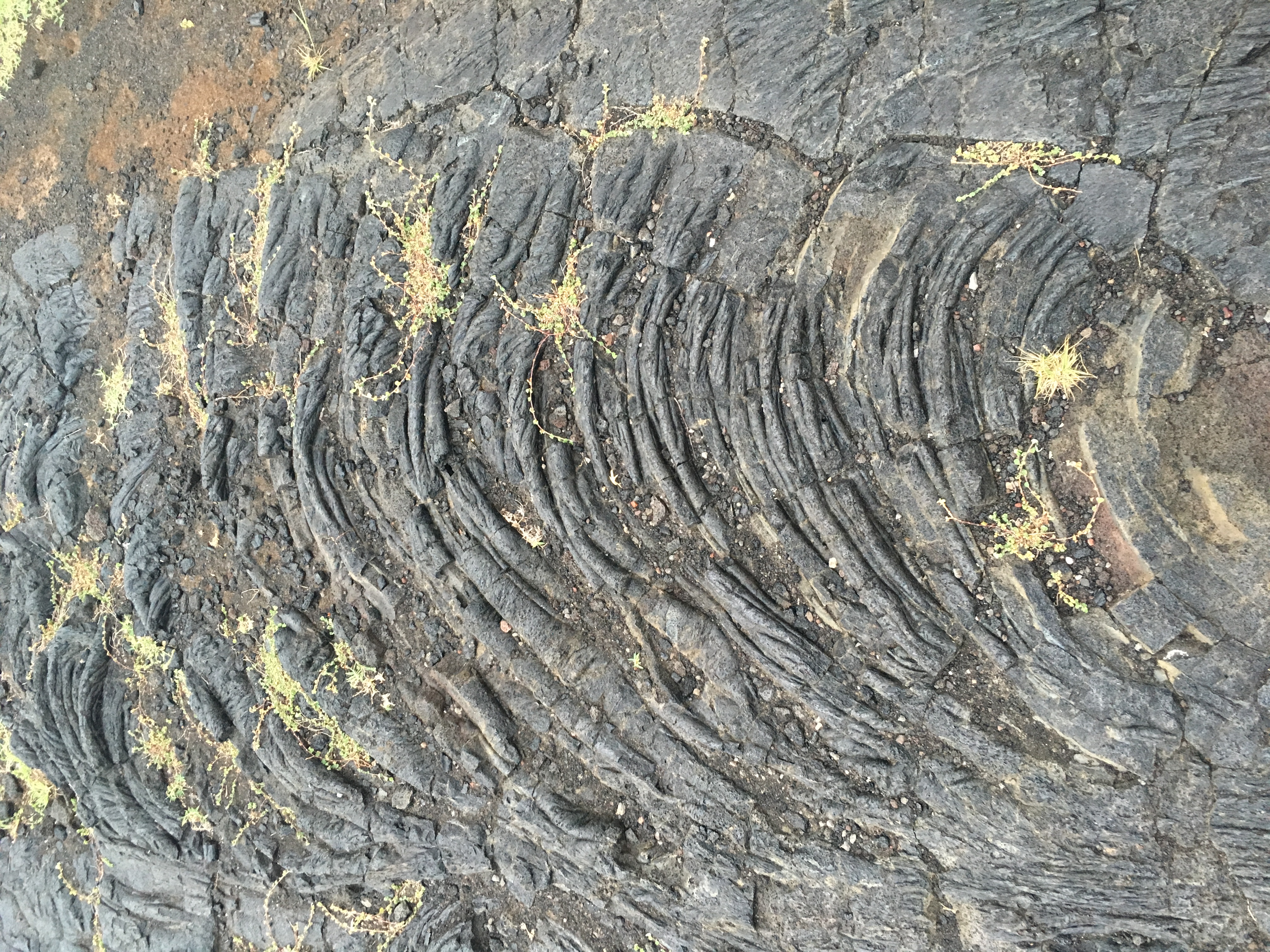 hawaii-volcanoes-nationsl-park-119