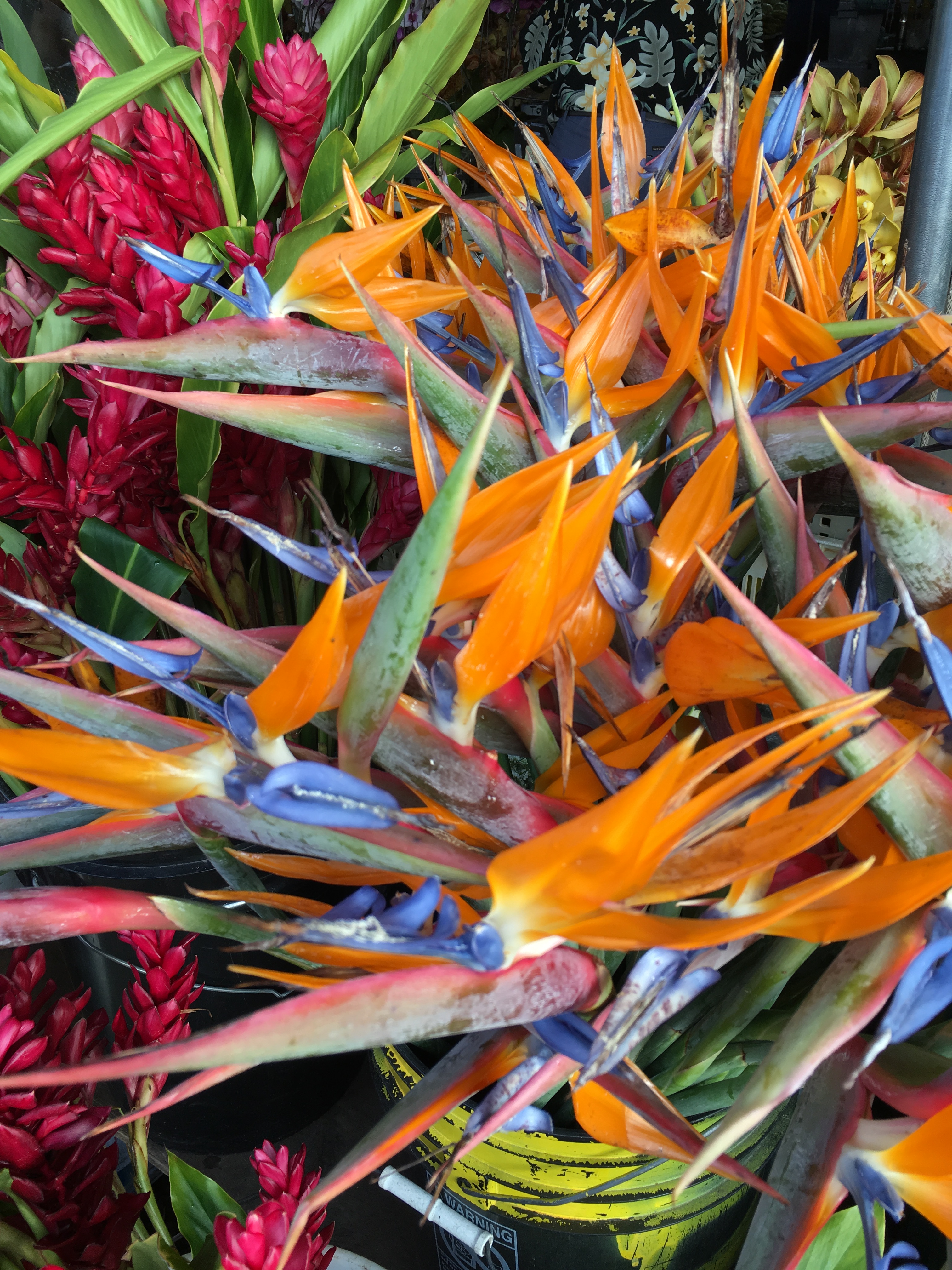 hilo-farmers-market-11