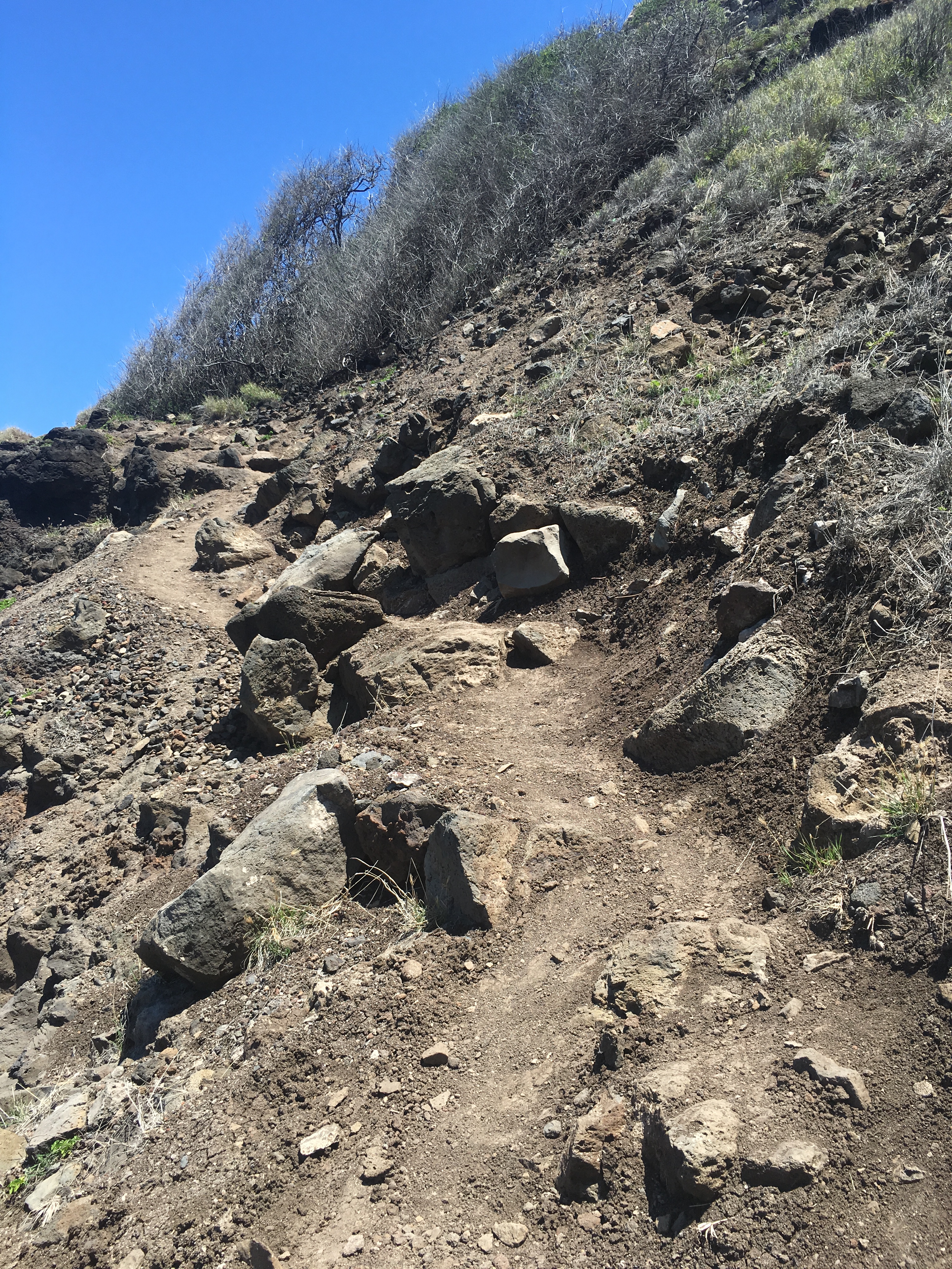 kaena-point-state-park-39