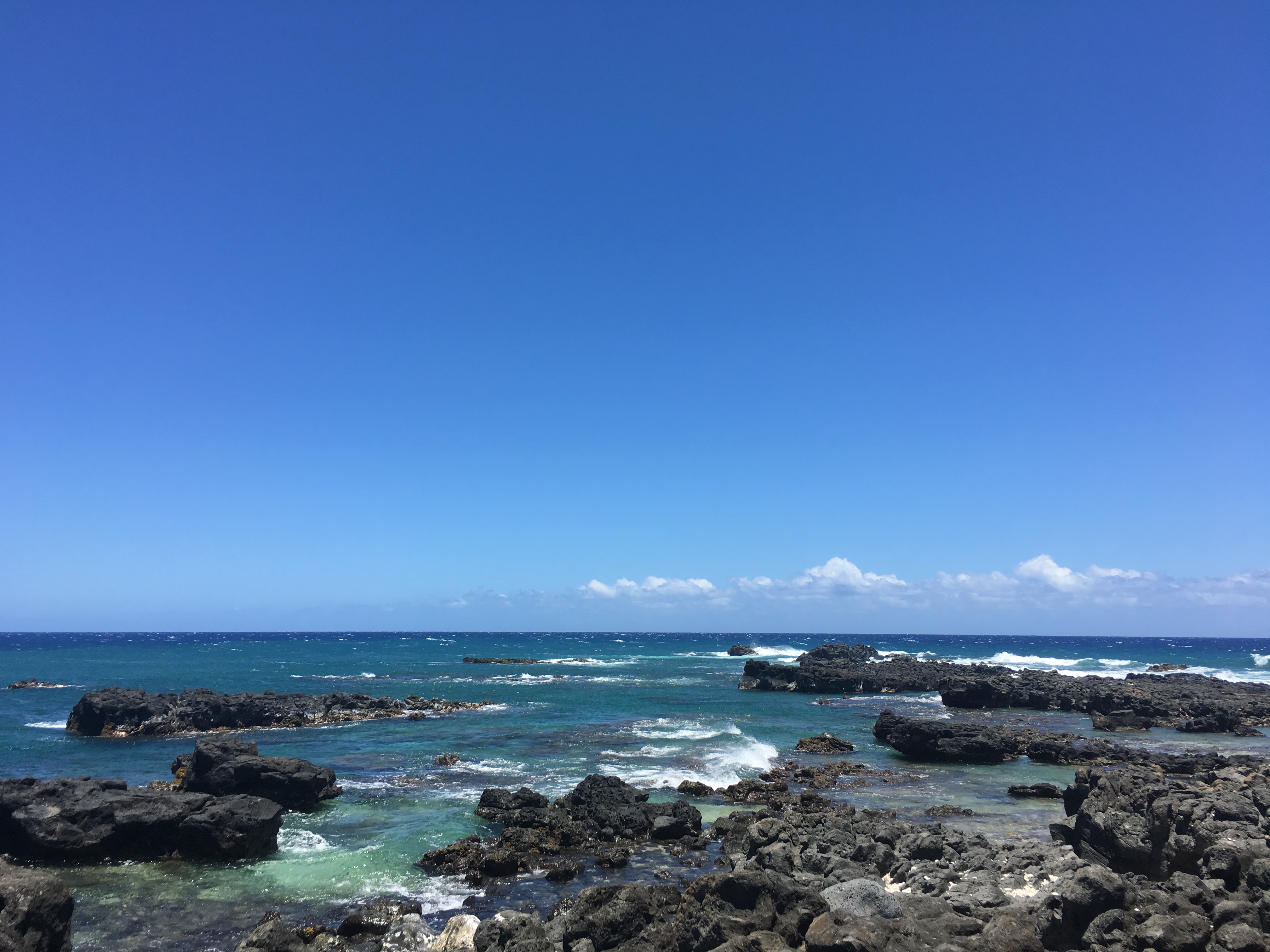 kaena-point-state-park-51