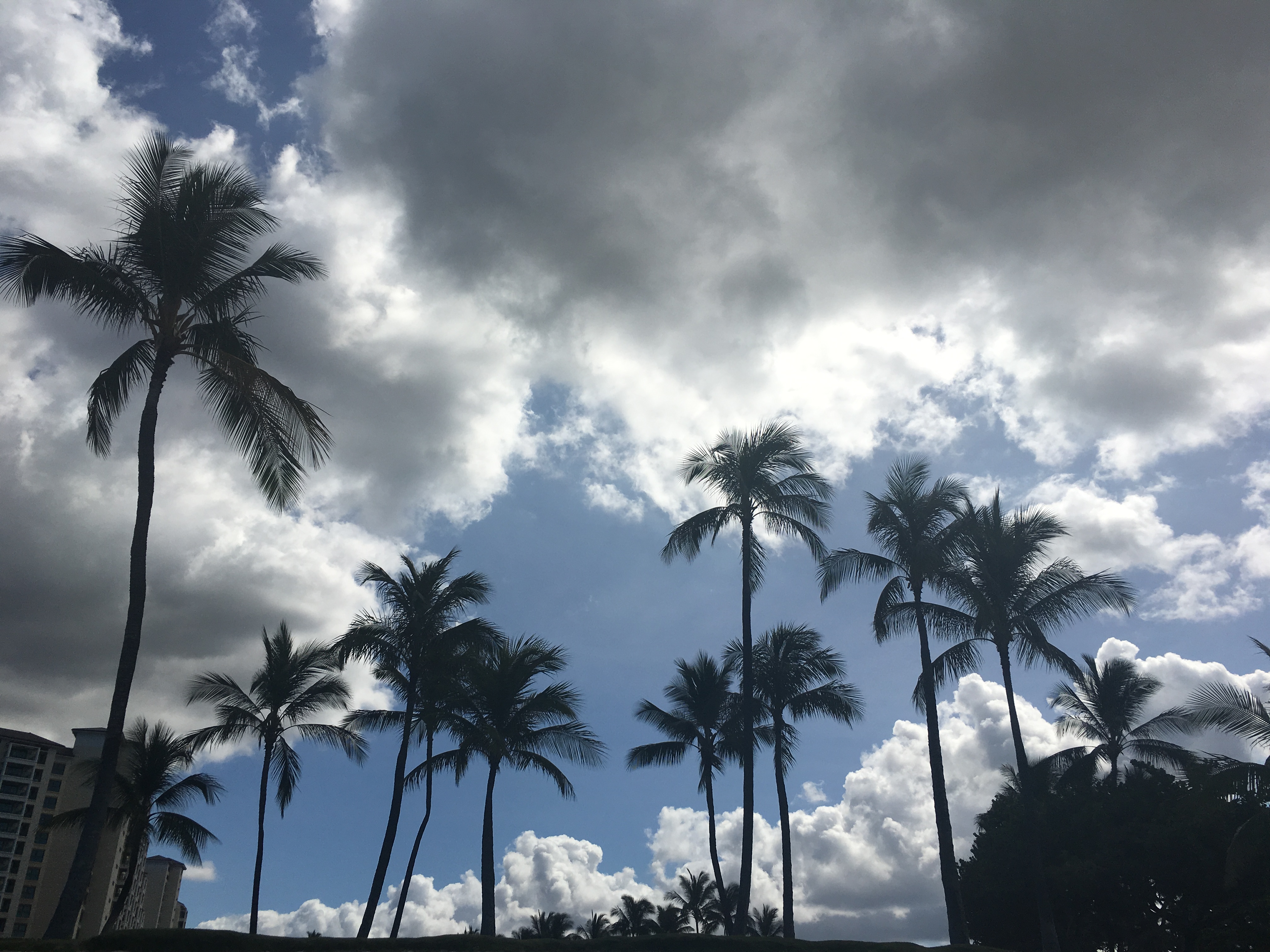 koolina-beach-71
