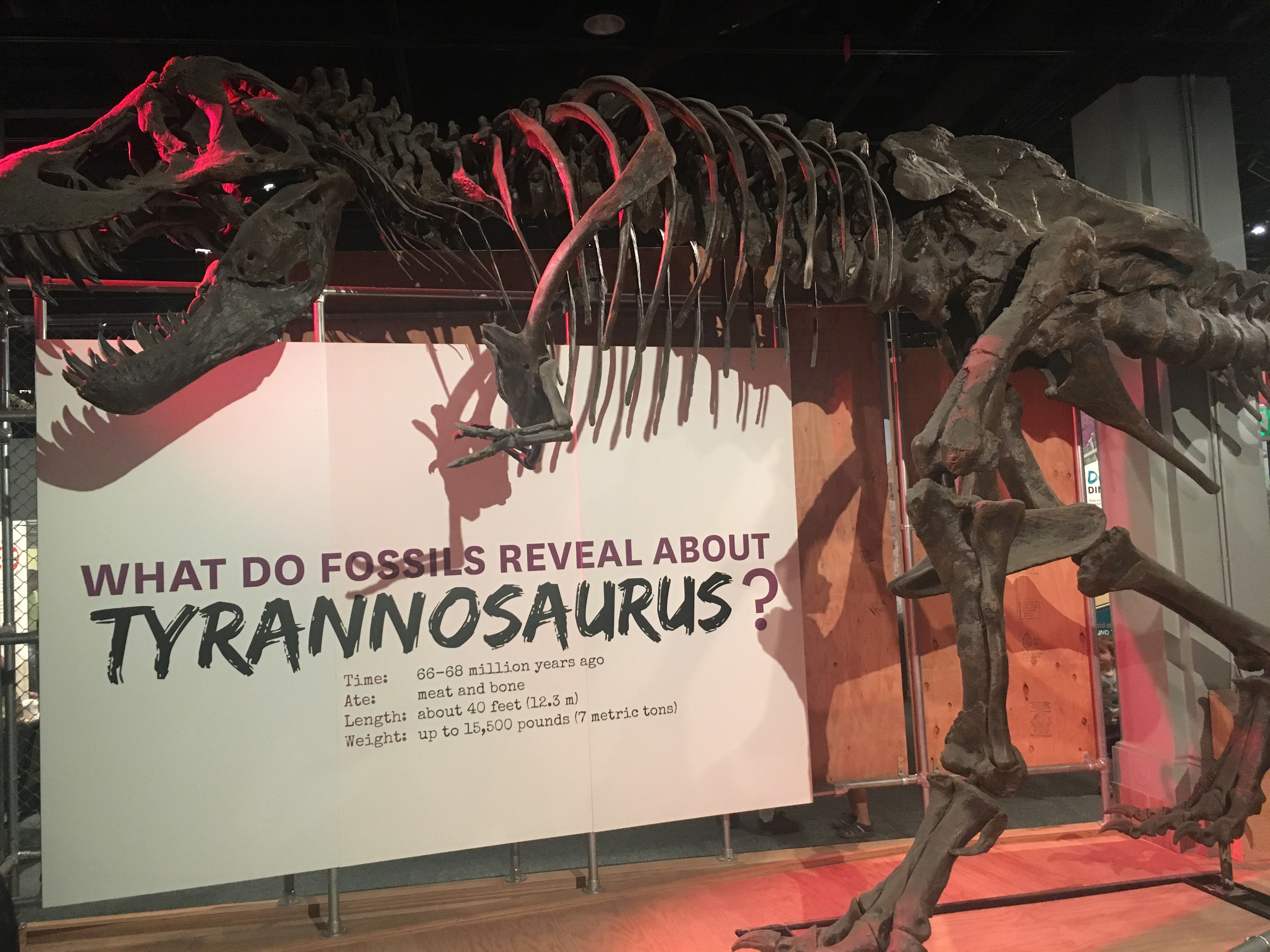 museum-of-natural-history-17