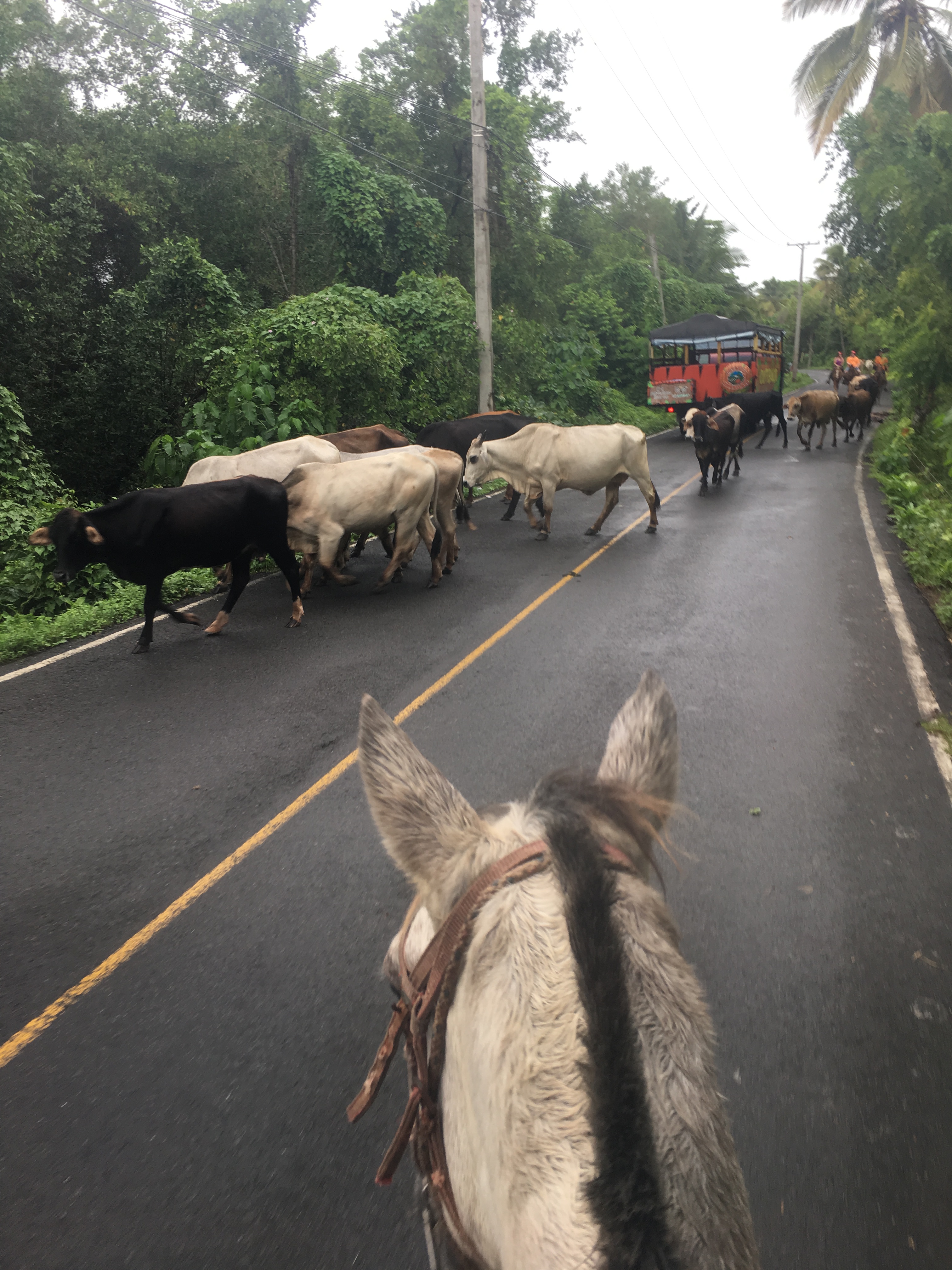 rancho-caribeno-maiko-22