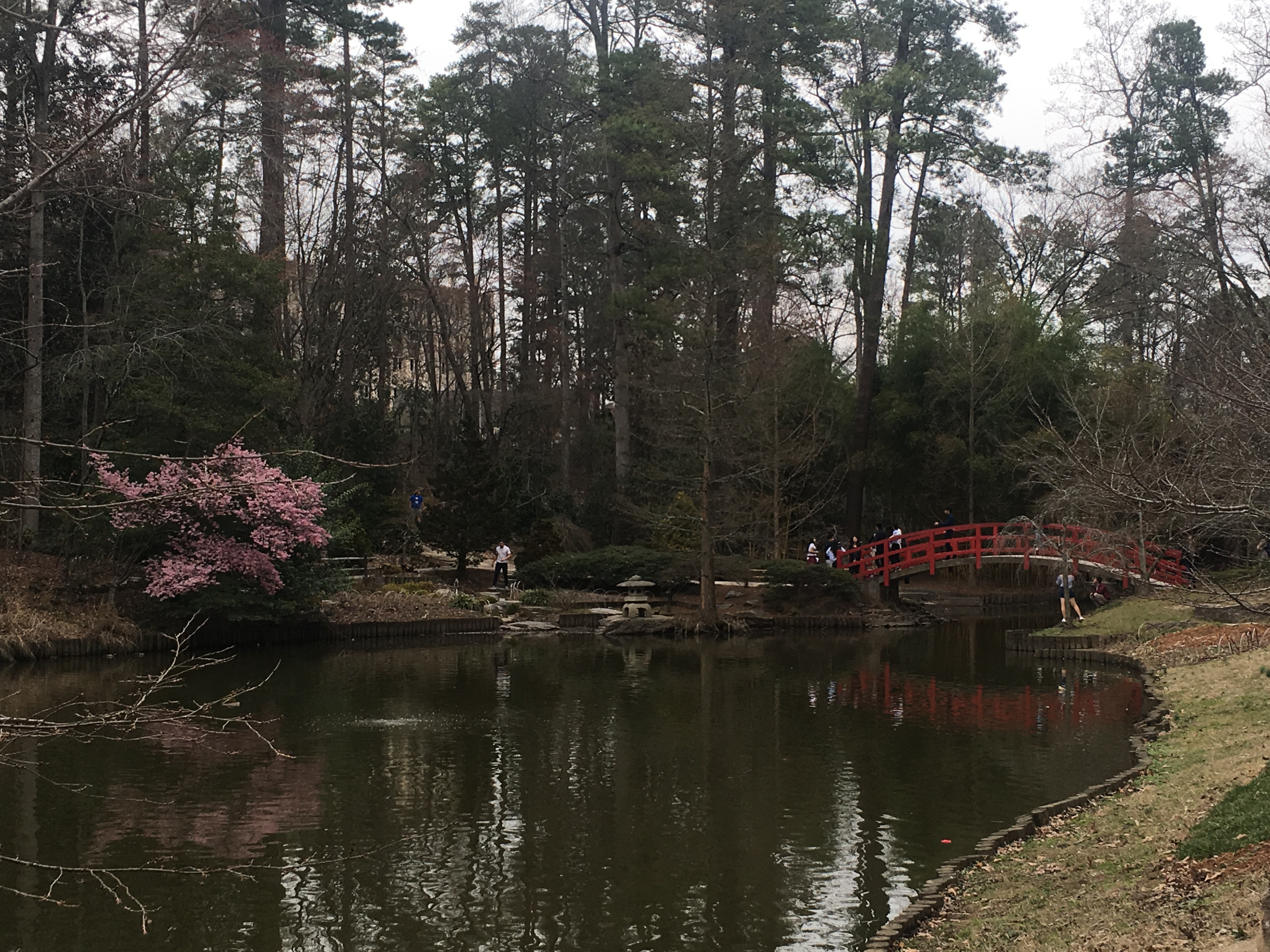 NCBC, Duke Gardens, Q Shack 15