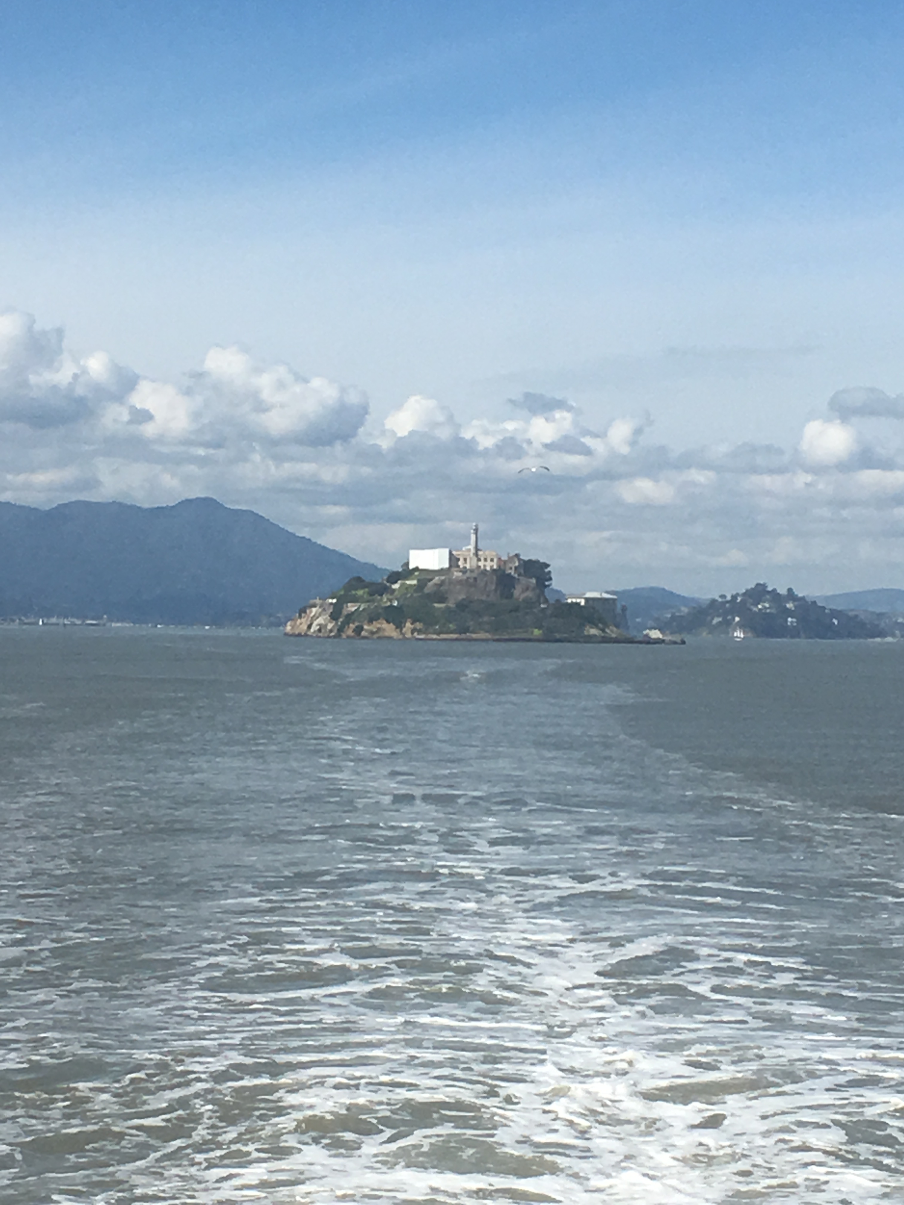 Alcatraz 41