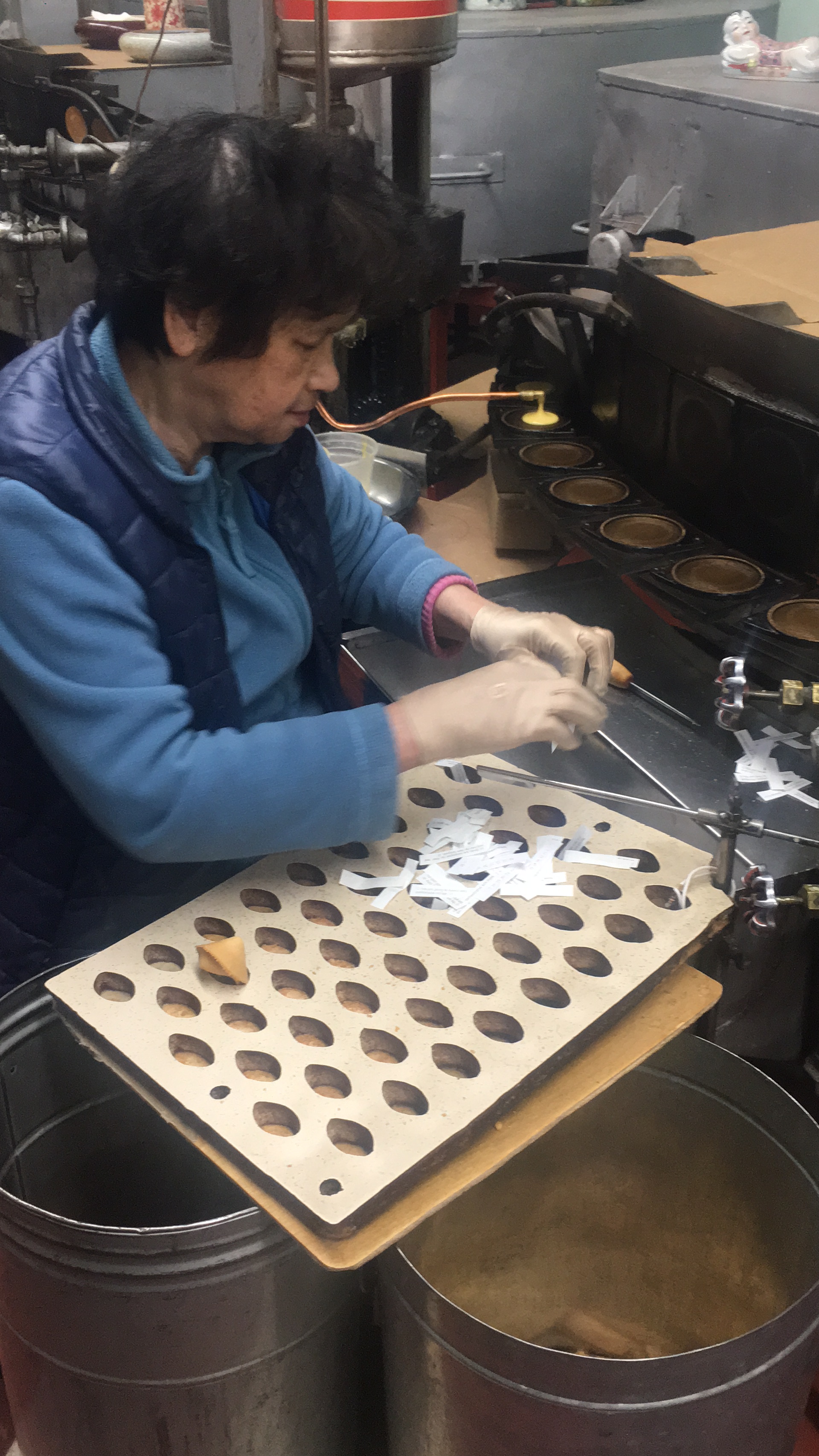 Golden Gate Fortune Cookie Co 10