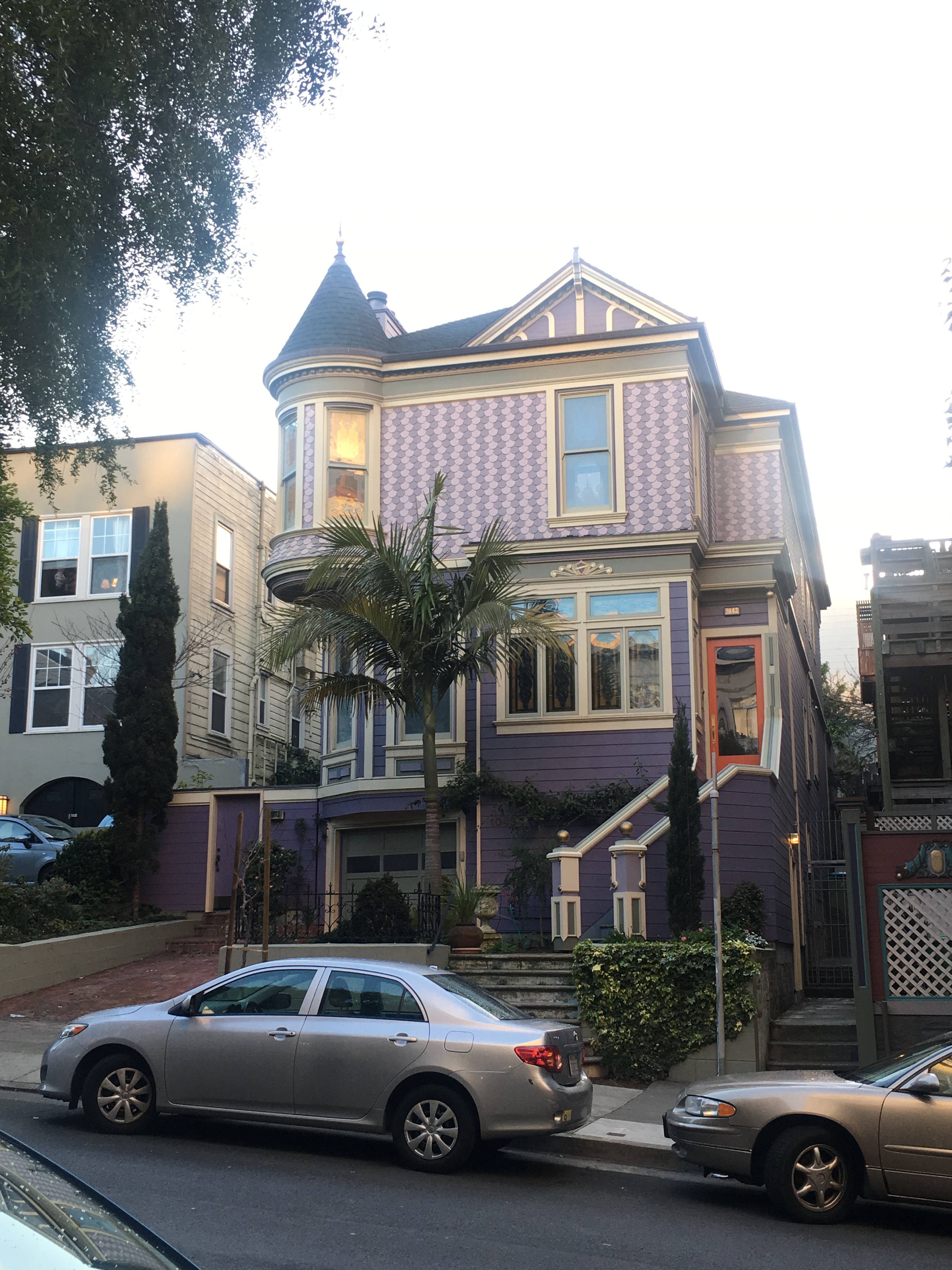 Painted Ladies 1