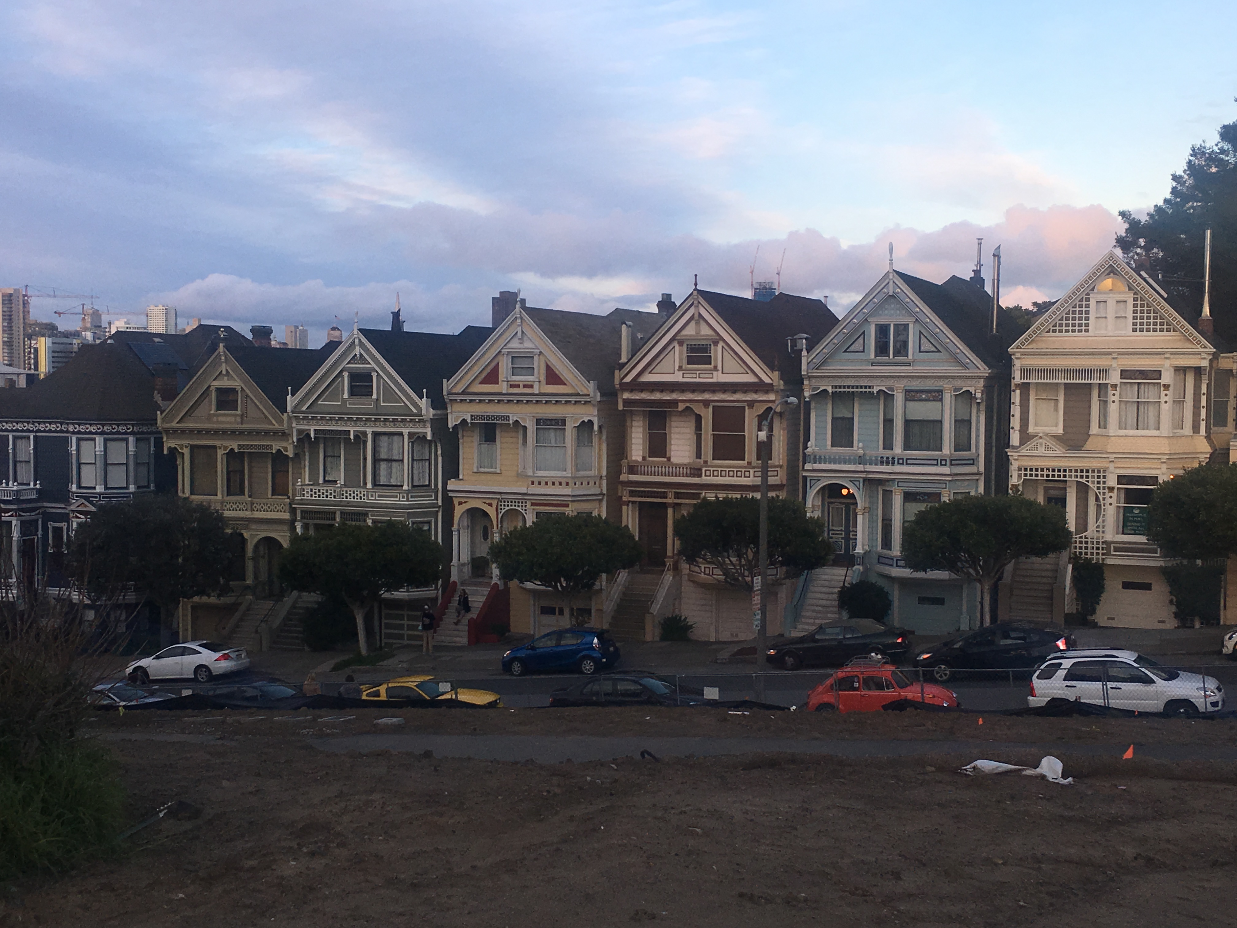 Painted Ladies 3