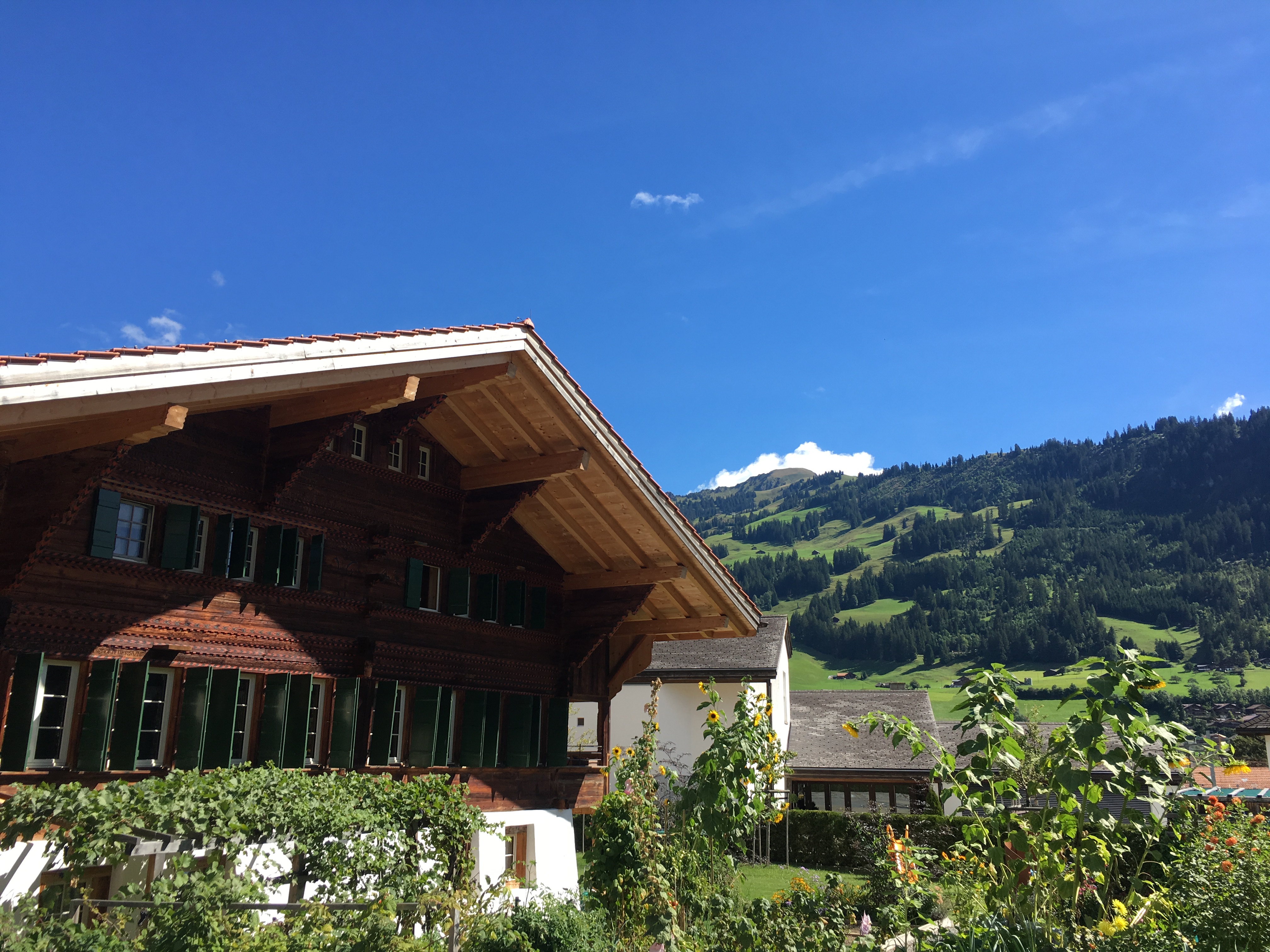 Zweisimmen 14