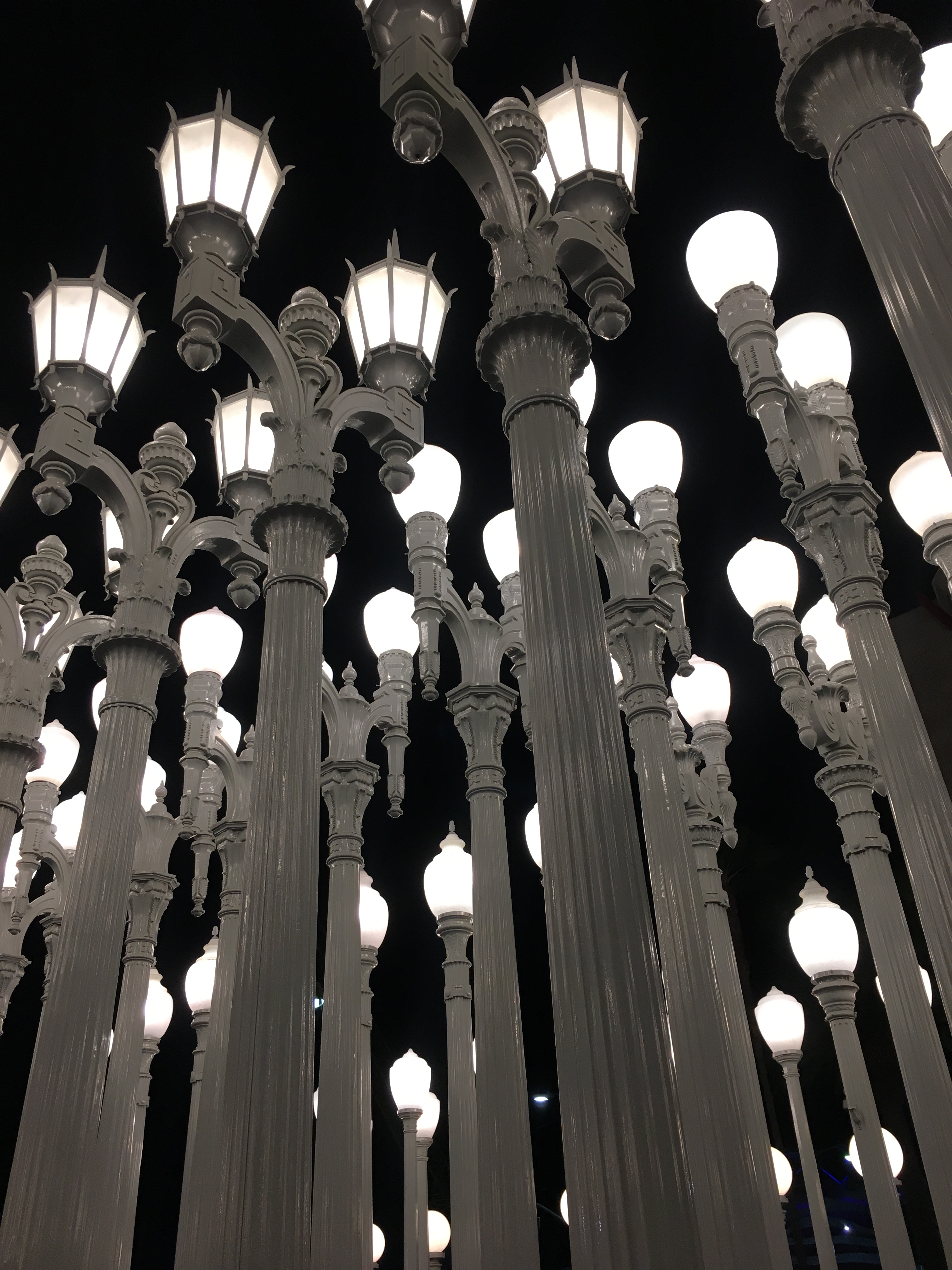 Beverly Hills, Santa Monica, LACMA 141