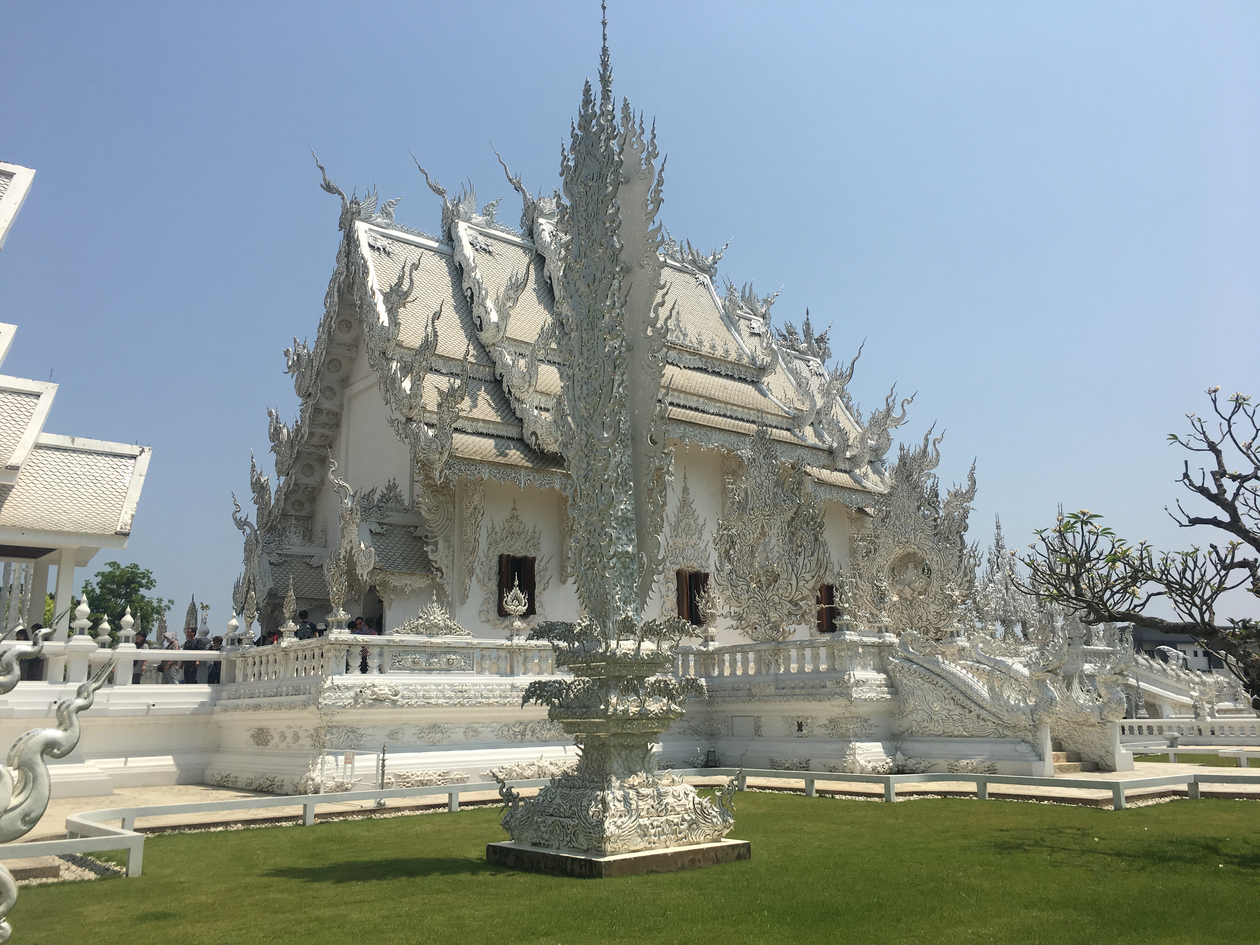 Thawee Hot Springs:White Temple:Wat Chedi Luang:Golden Triangle 56