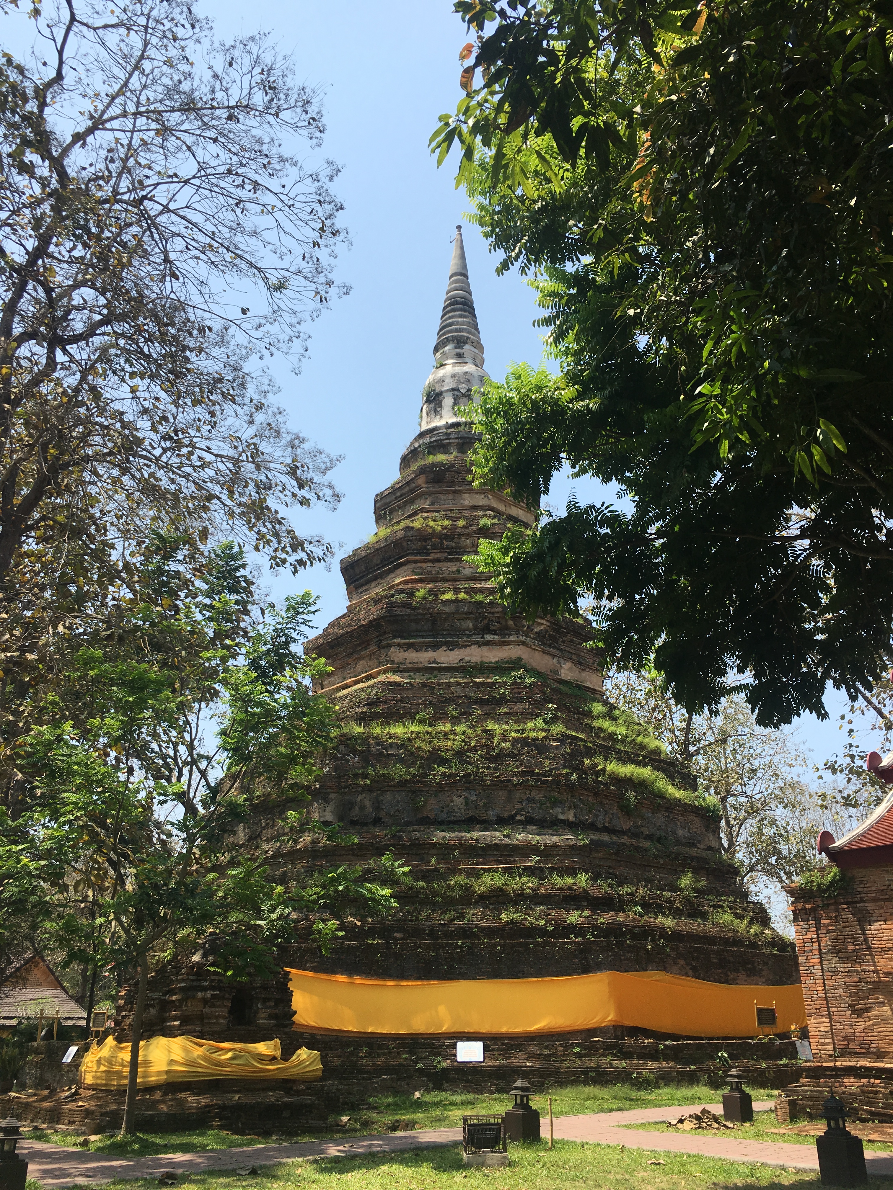 Thawee Hot Springs:White Temple:Wat Chedi Luang:Golden Triangle 83.JPG