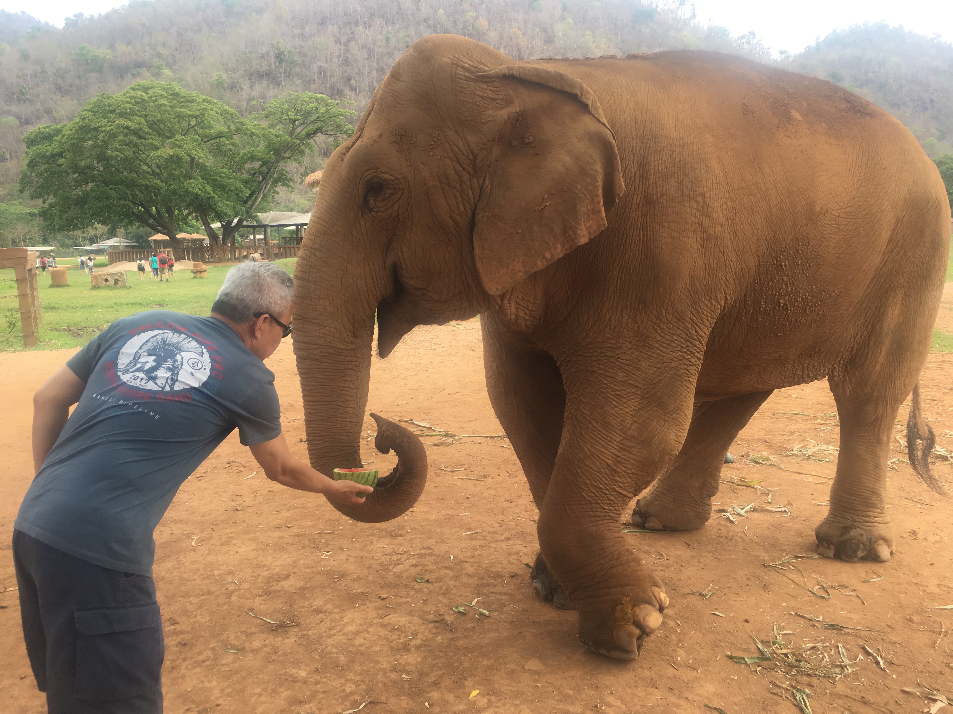 Elephant Nature Reserve 23