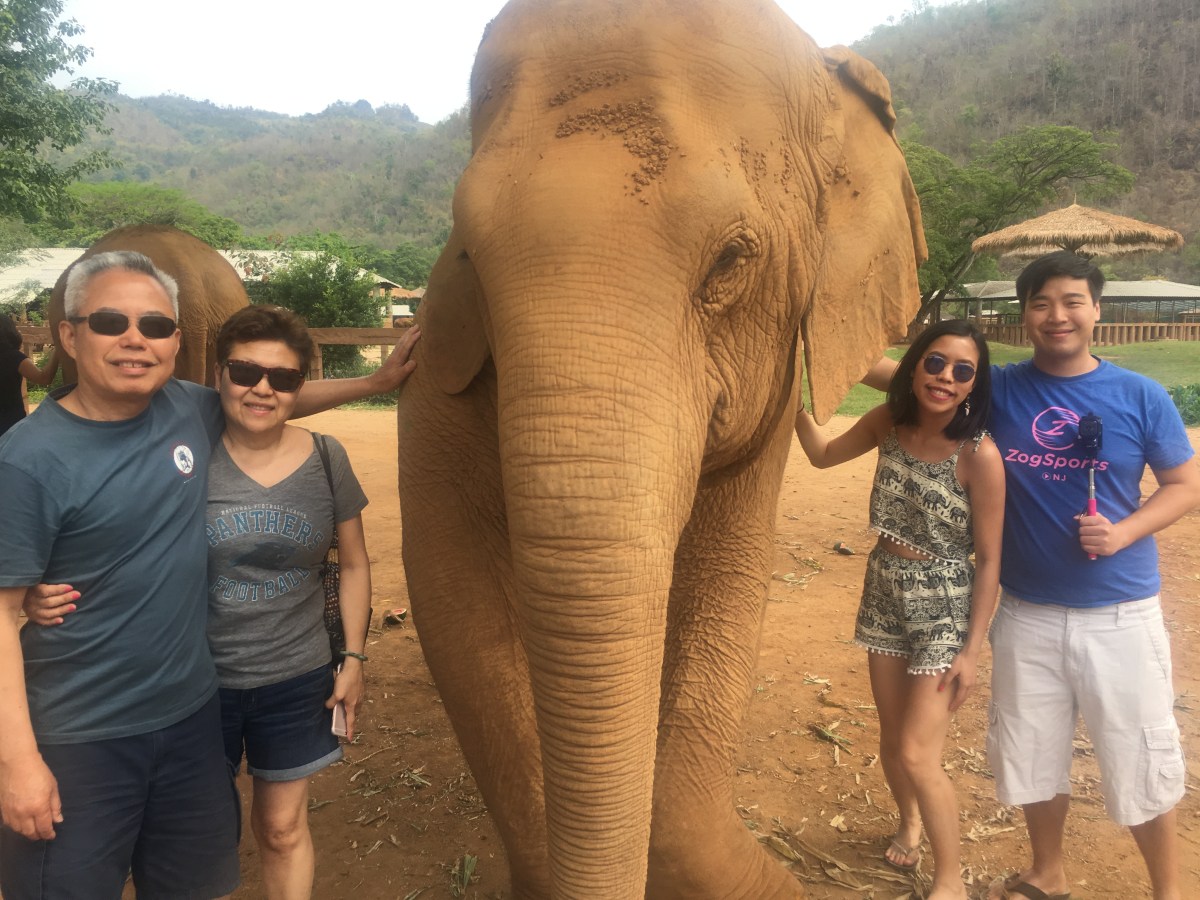 what it’s like to pet/feed/bathe an&nbsp;elephant