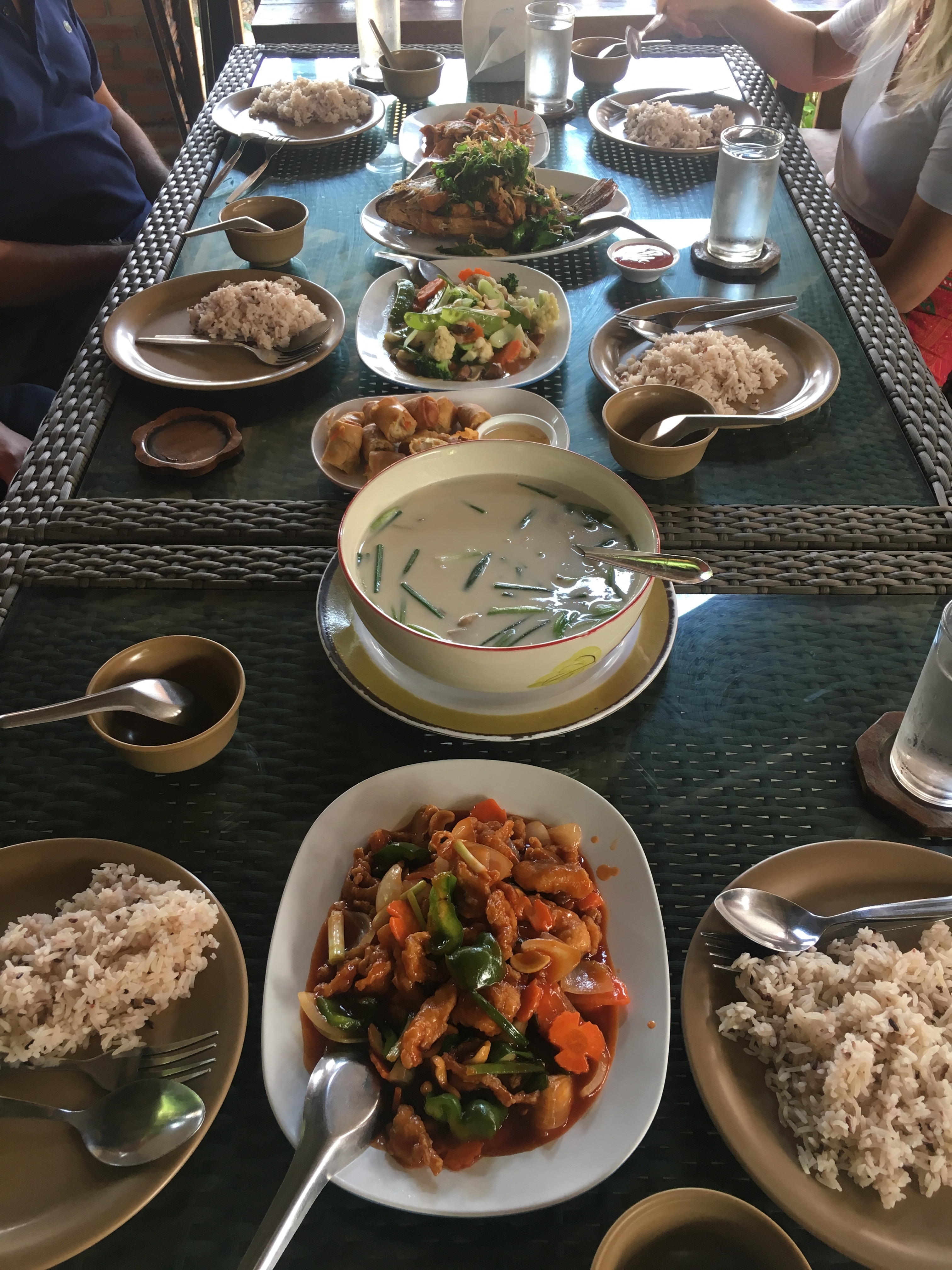 Thawee Hot Springs:White Temple:Wat Chedi Luang:Golden Triangle 89