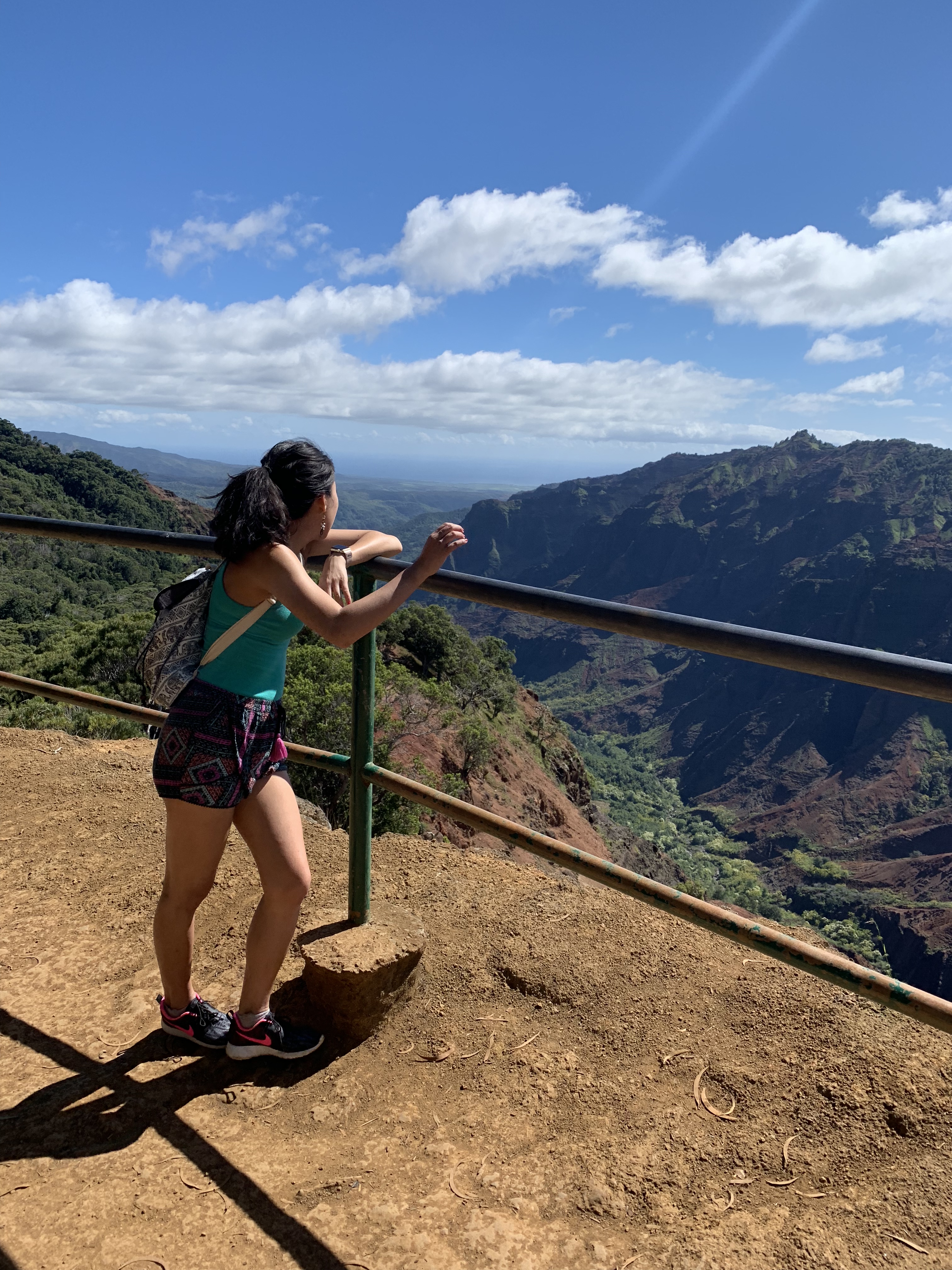 Waimea Canyon 49