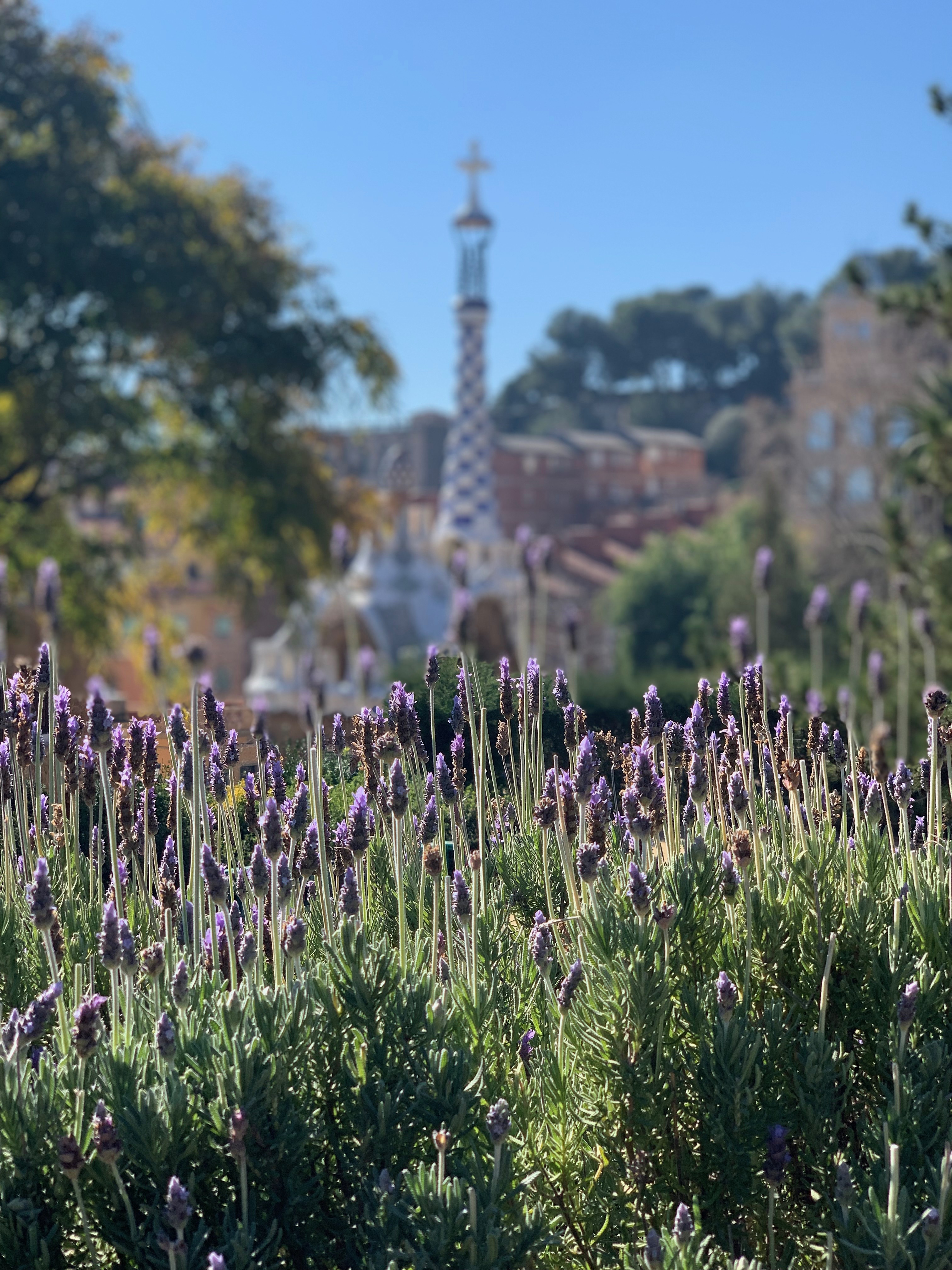 Park Guell 50
