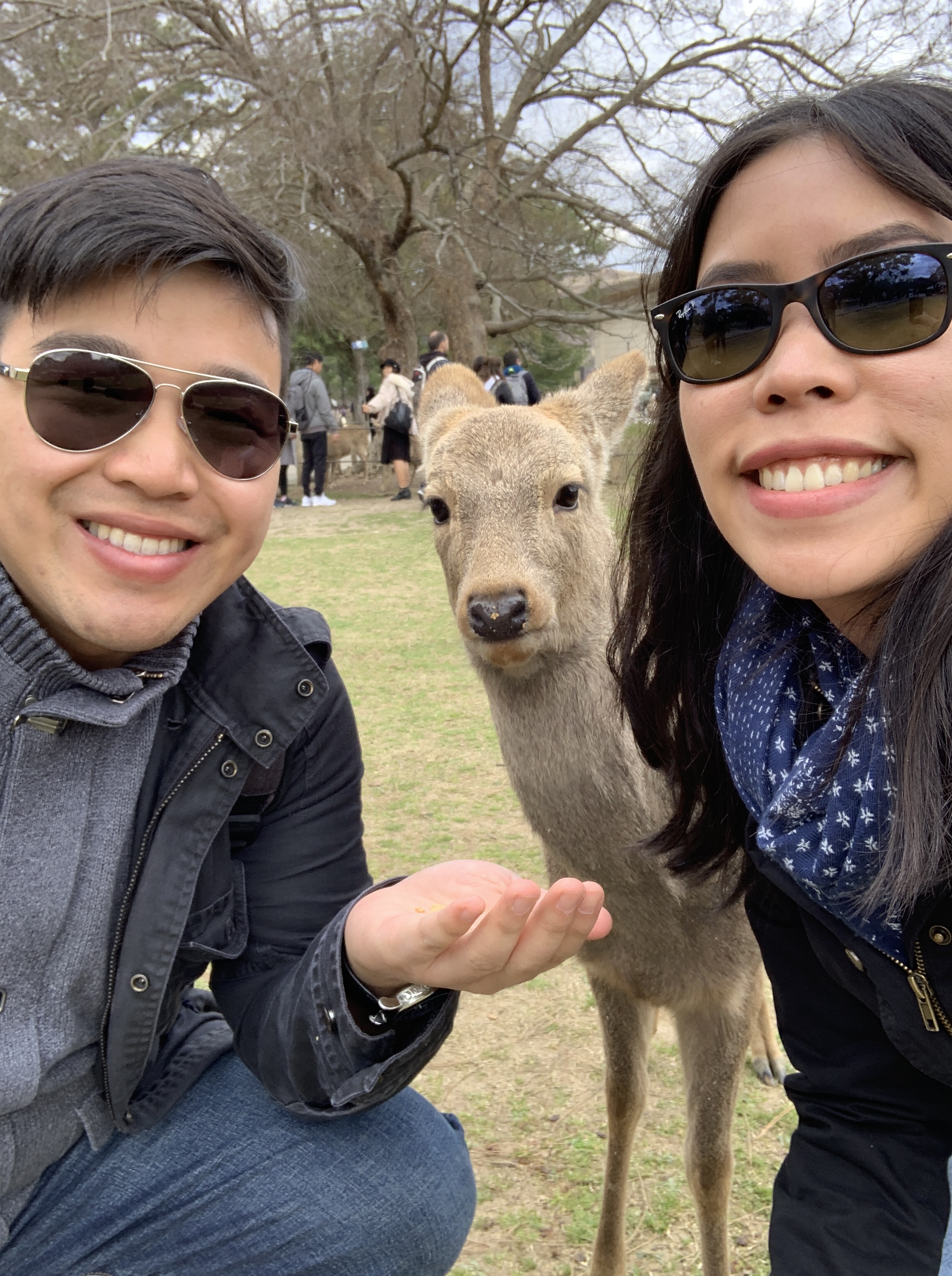 Nara Park 67