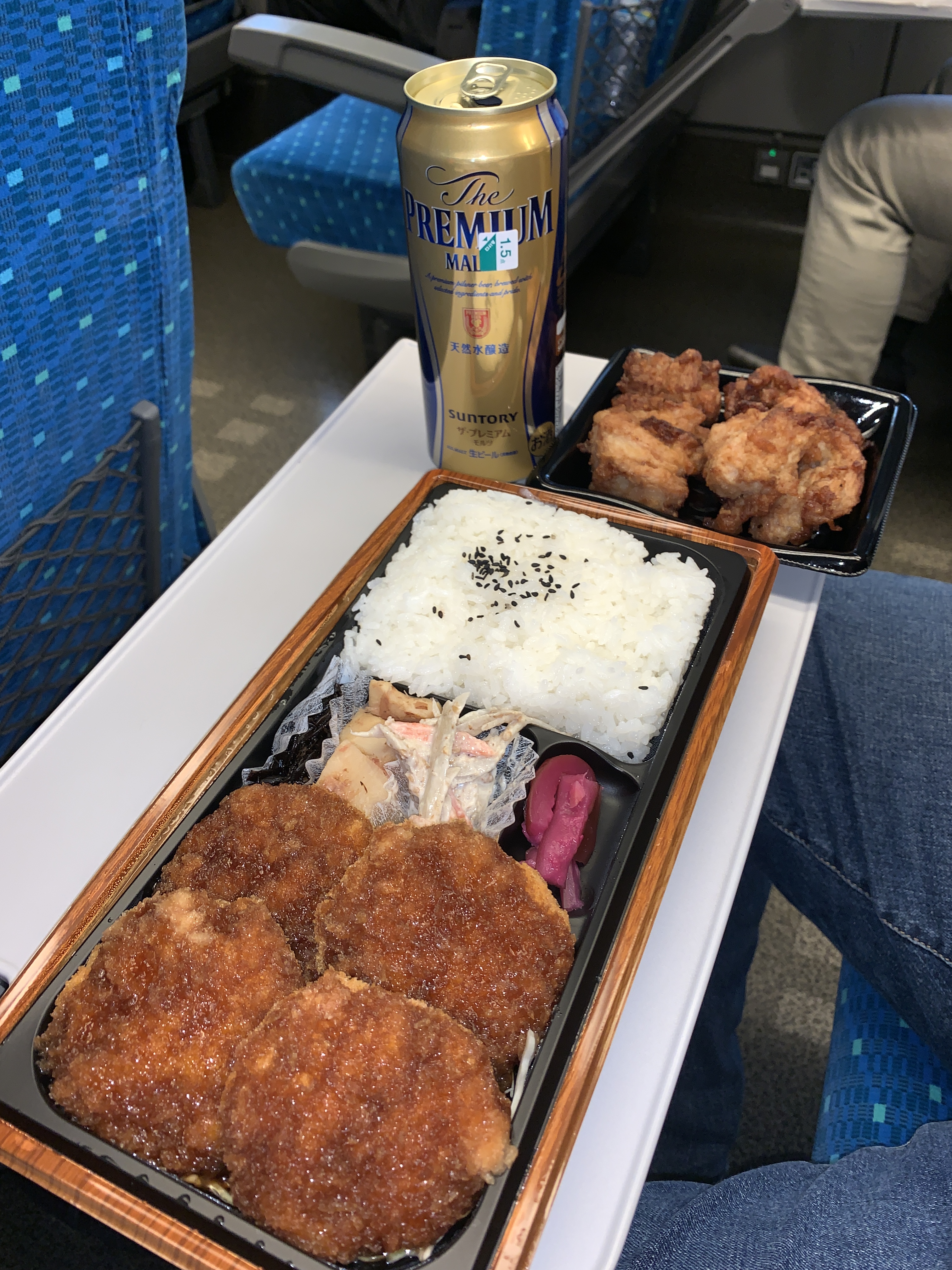 Shinkansen from Tokyo to Kyoto 11