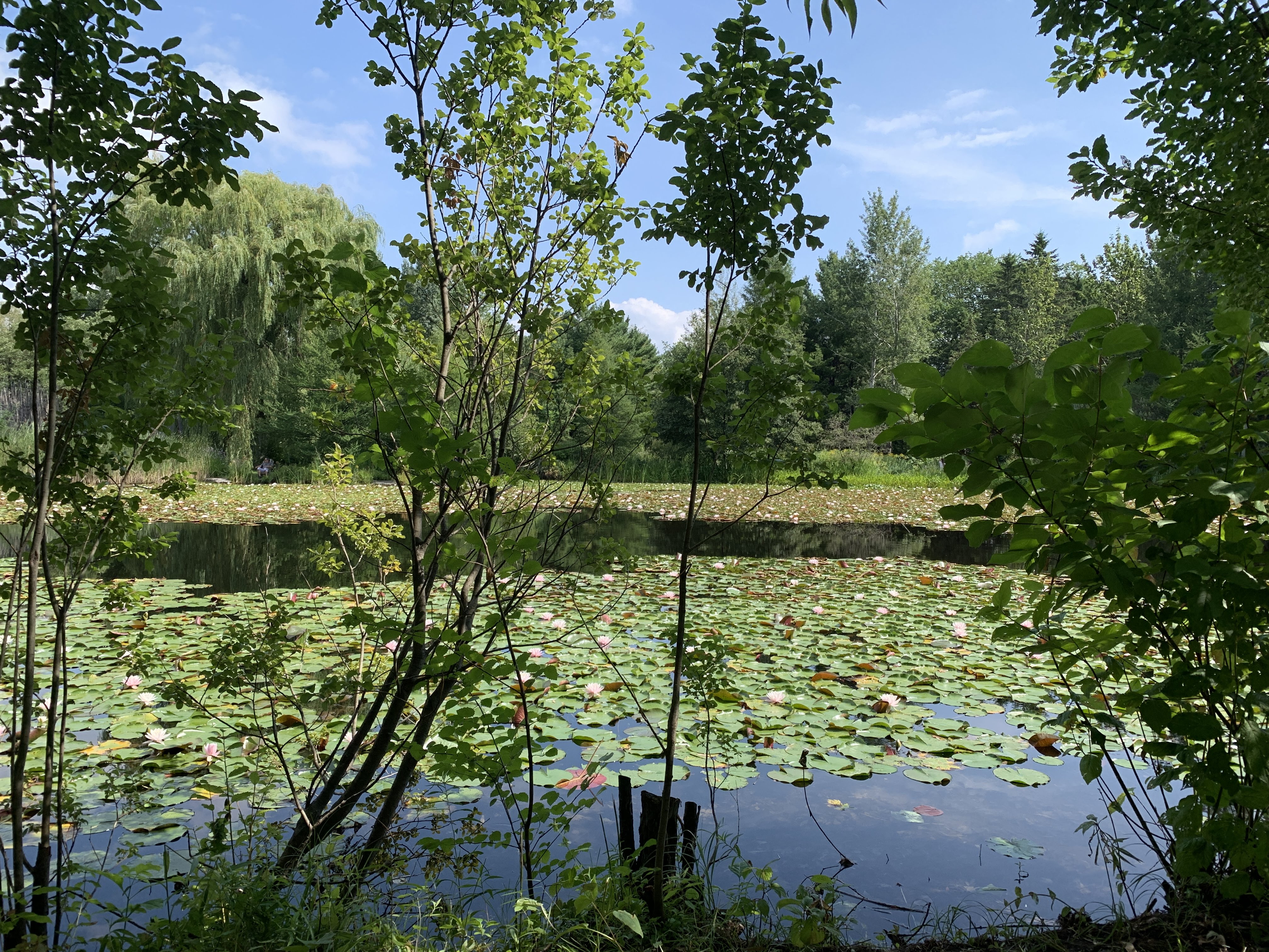 Montreal Botanic Gardens 23