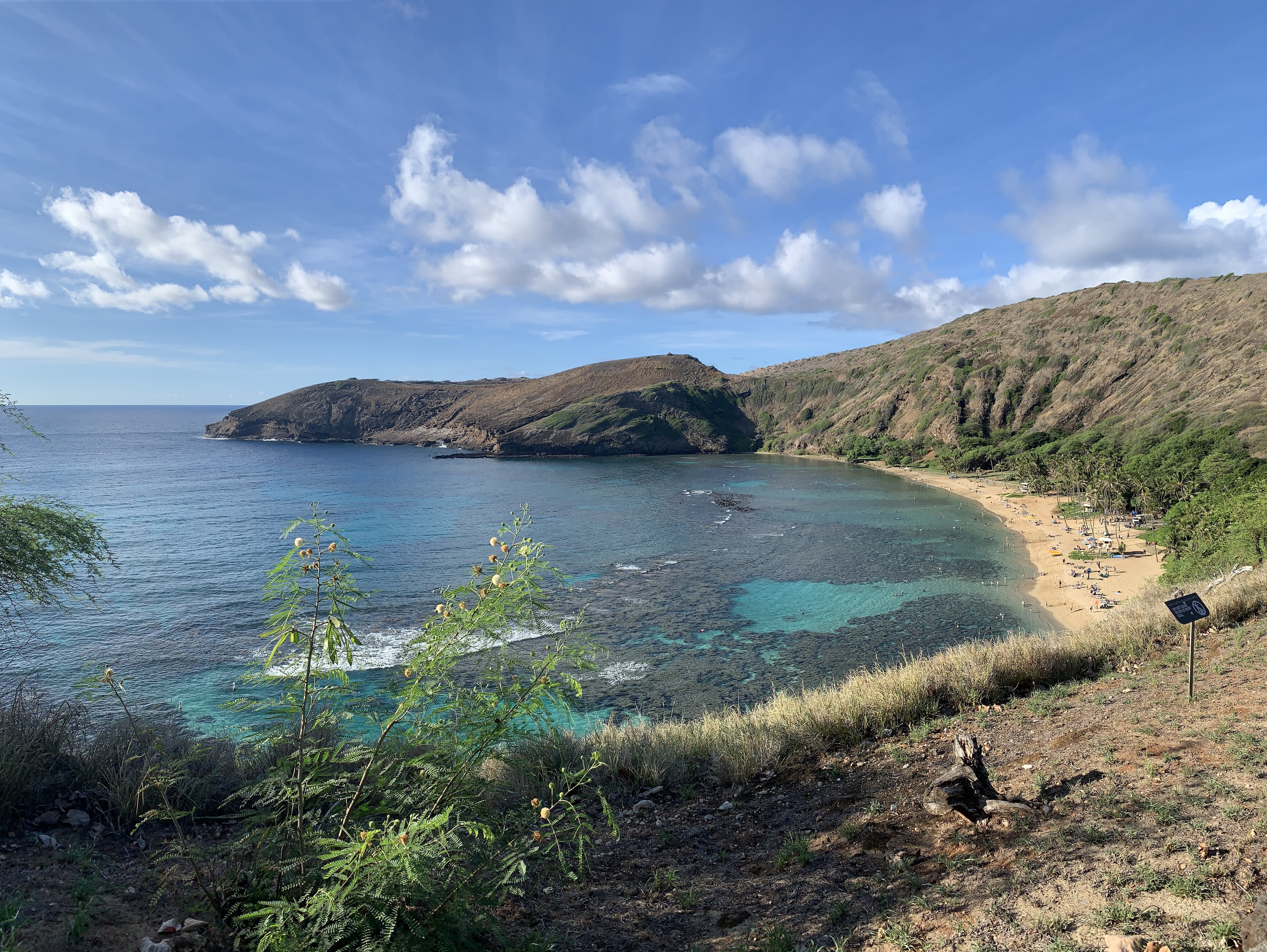 Hanauma Bay:Teddy's Bigger Burgers:Halona Blowhole:Makapuu Lighthouse8
