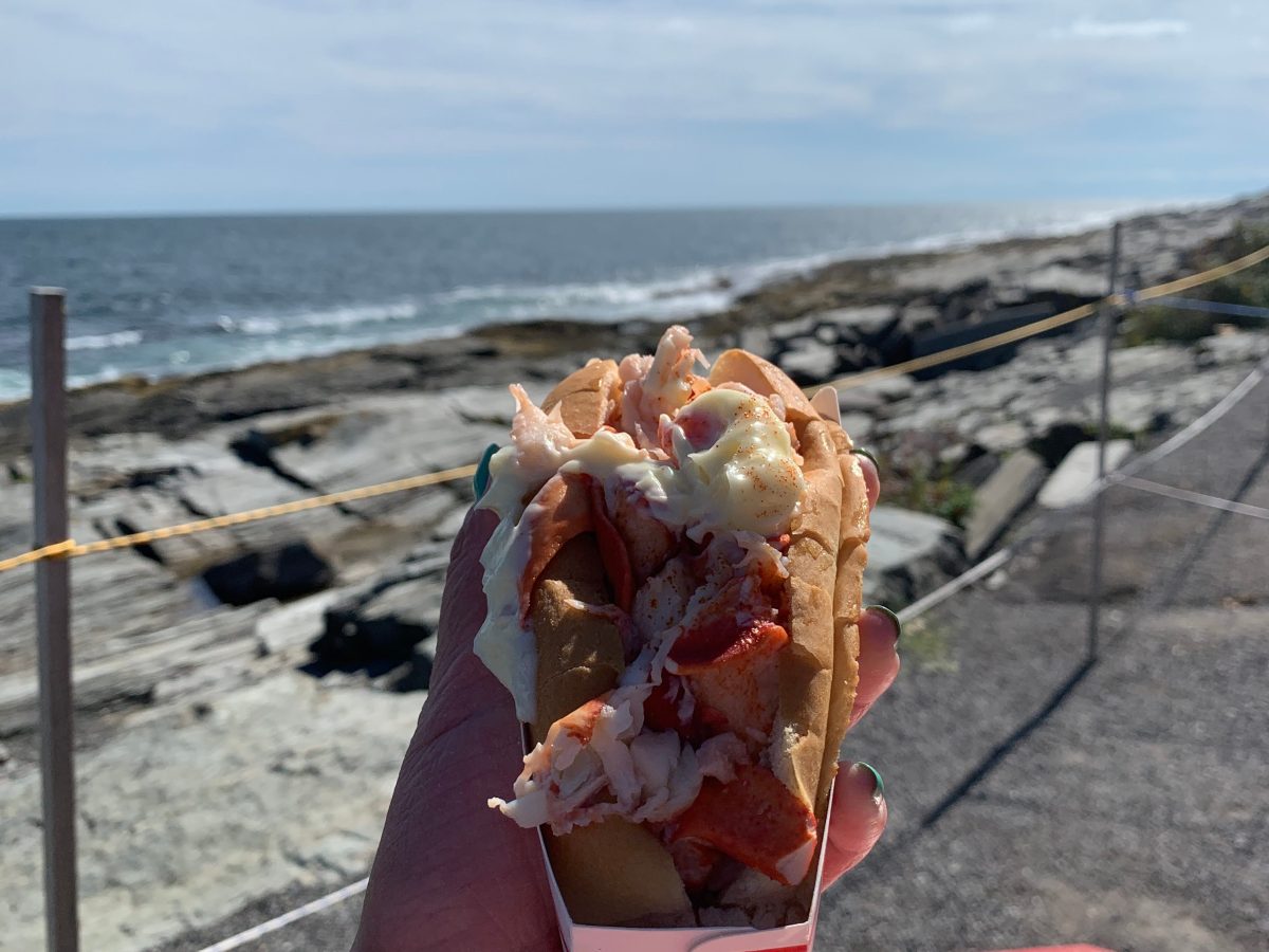 how to be a traveler in portland,&nbsp;me