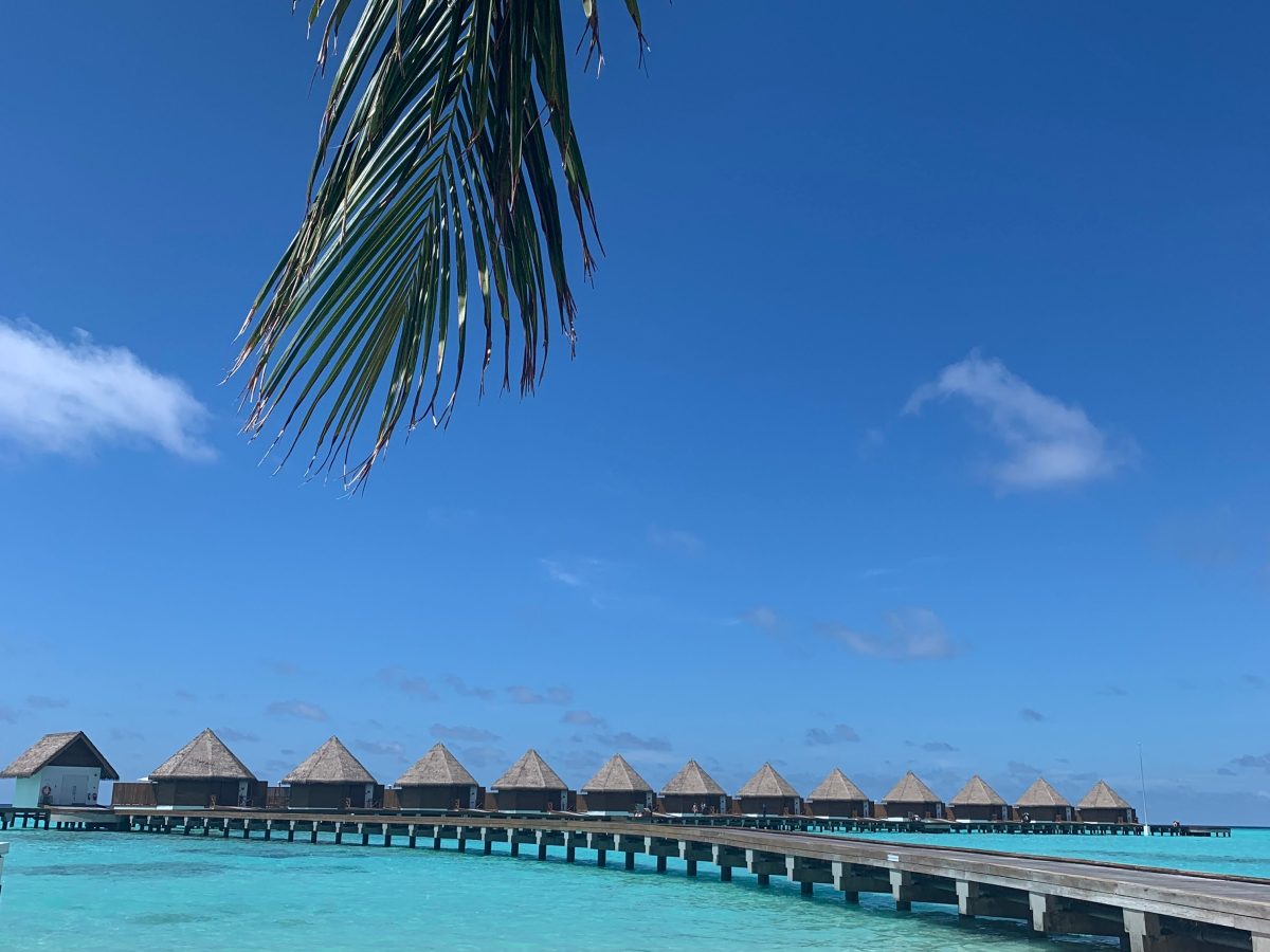honeymoon in dubai/abu dhabi/maldives 2021