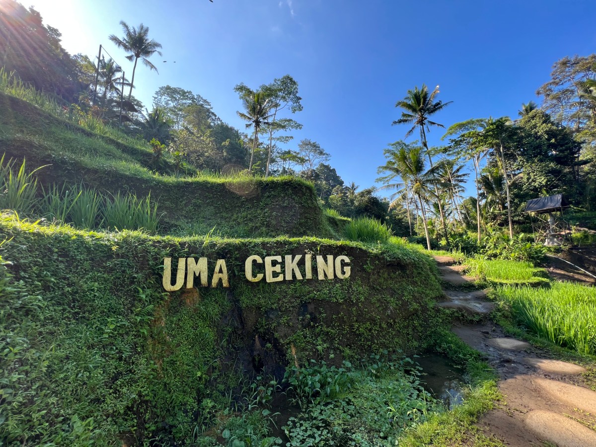 17 things i learned in the 7 days i spent in&nbsp;bali